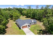 An aerial view of a home, showing its well-maintained roof, surrounding lush greenery, and private, fenced backyard at 2455 Whooping Crane Dr, De Leon Springs, FL 32130