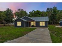 Charming single-story home featuring a metal roof, dark siding, and a well-manicured lawn, perfect for modern living at 1161 Cr 443, Lake Panasoffkee, FL 33538