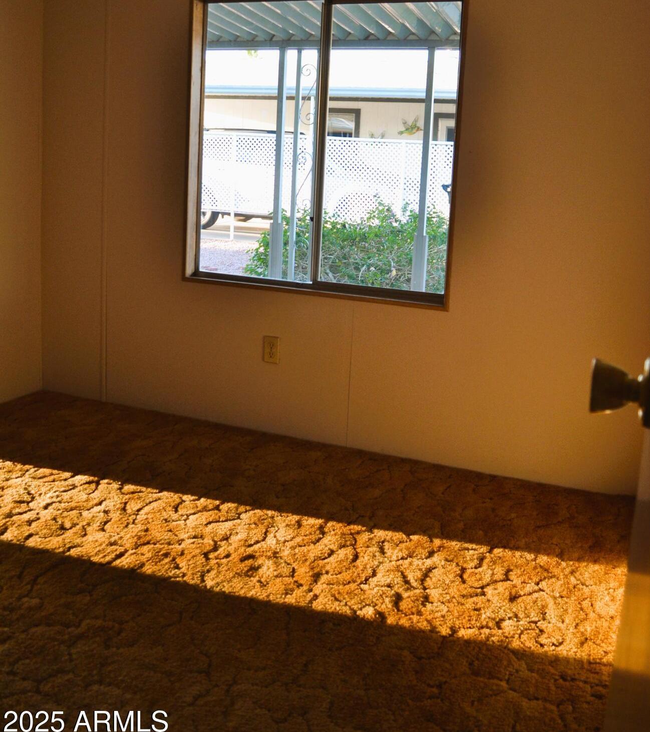 Photo #16