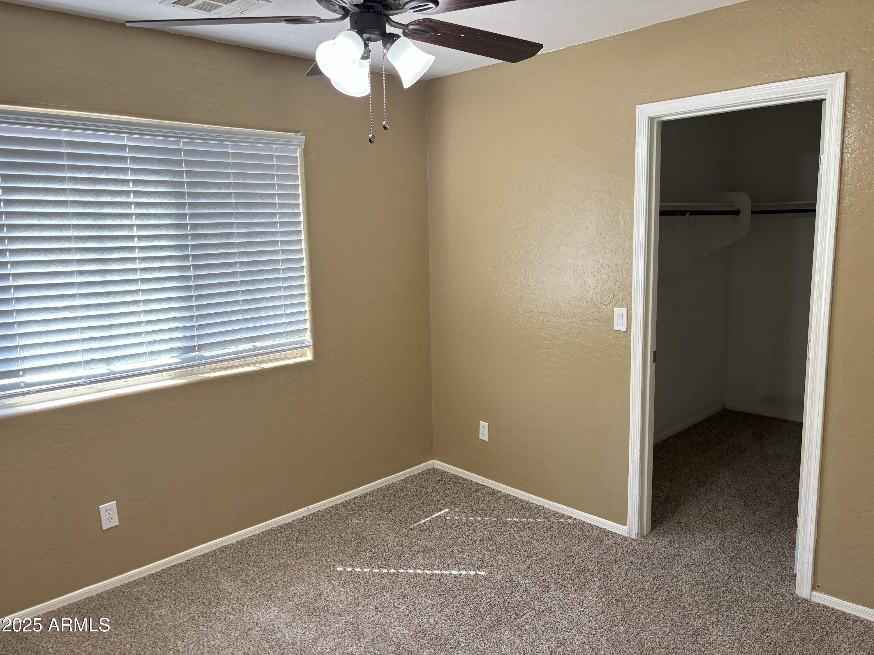 Photo #10