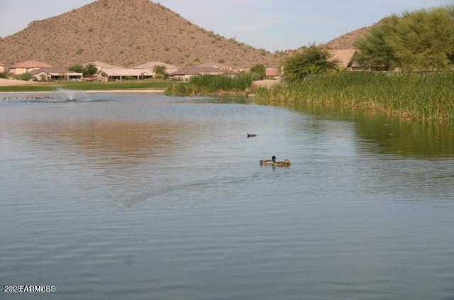 Photo #18
