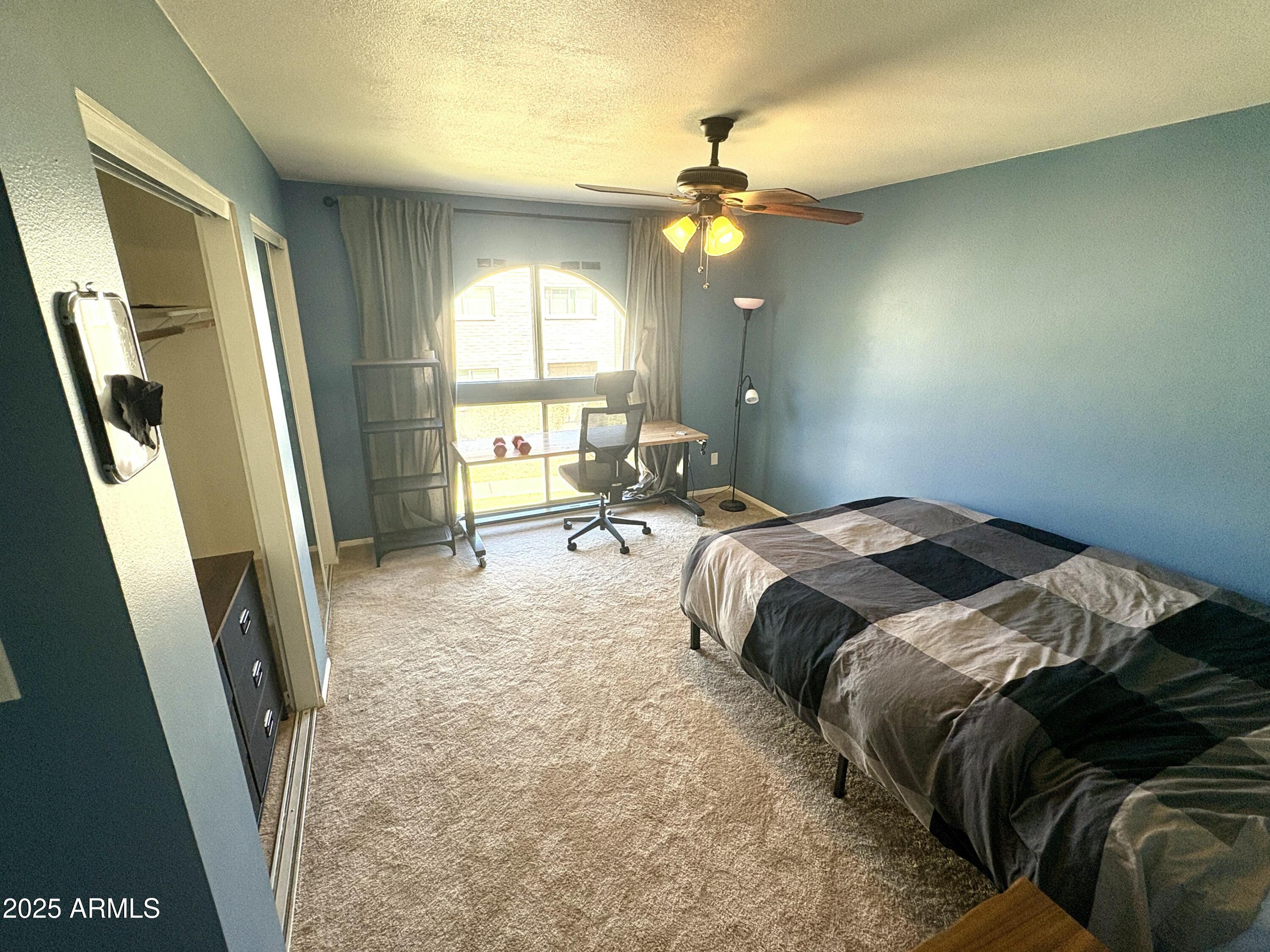 Photo #17