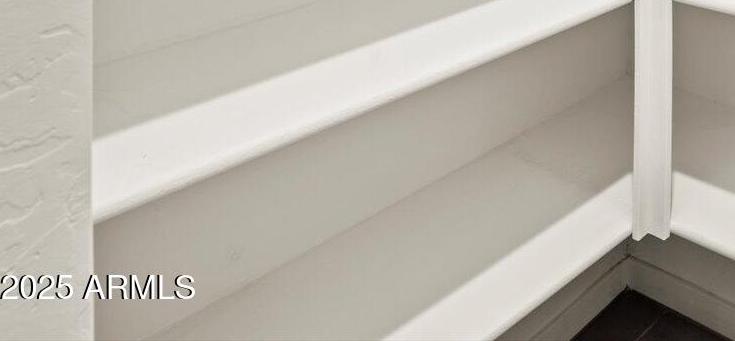 Photo #12
