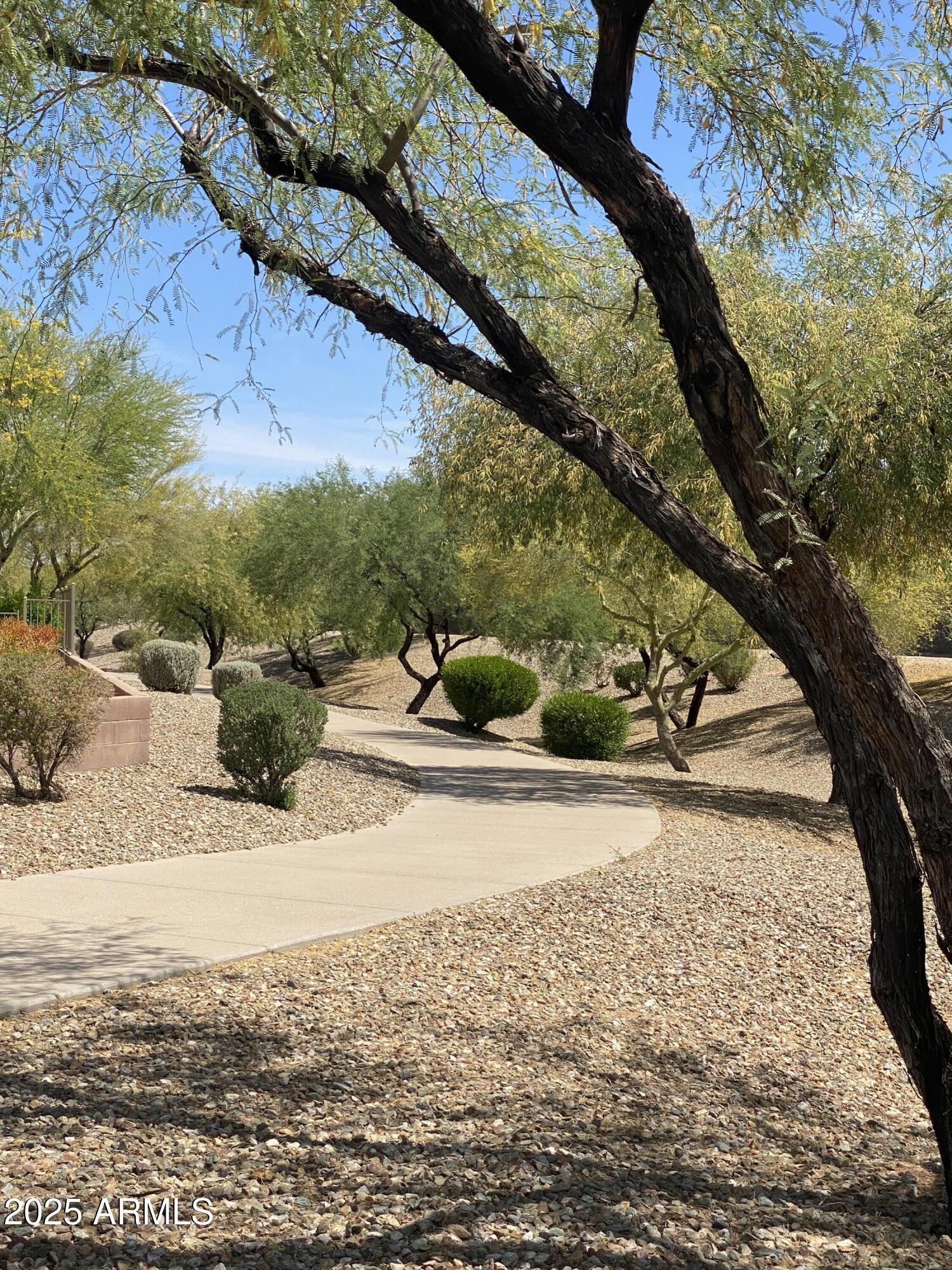 Photo #35