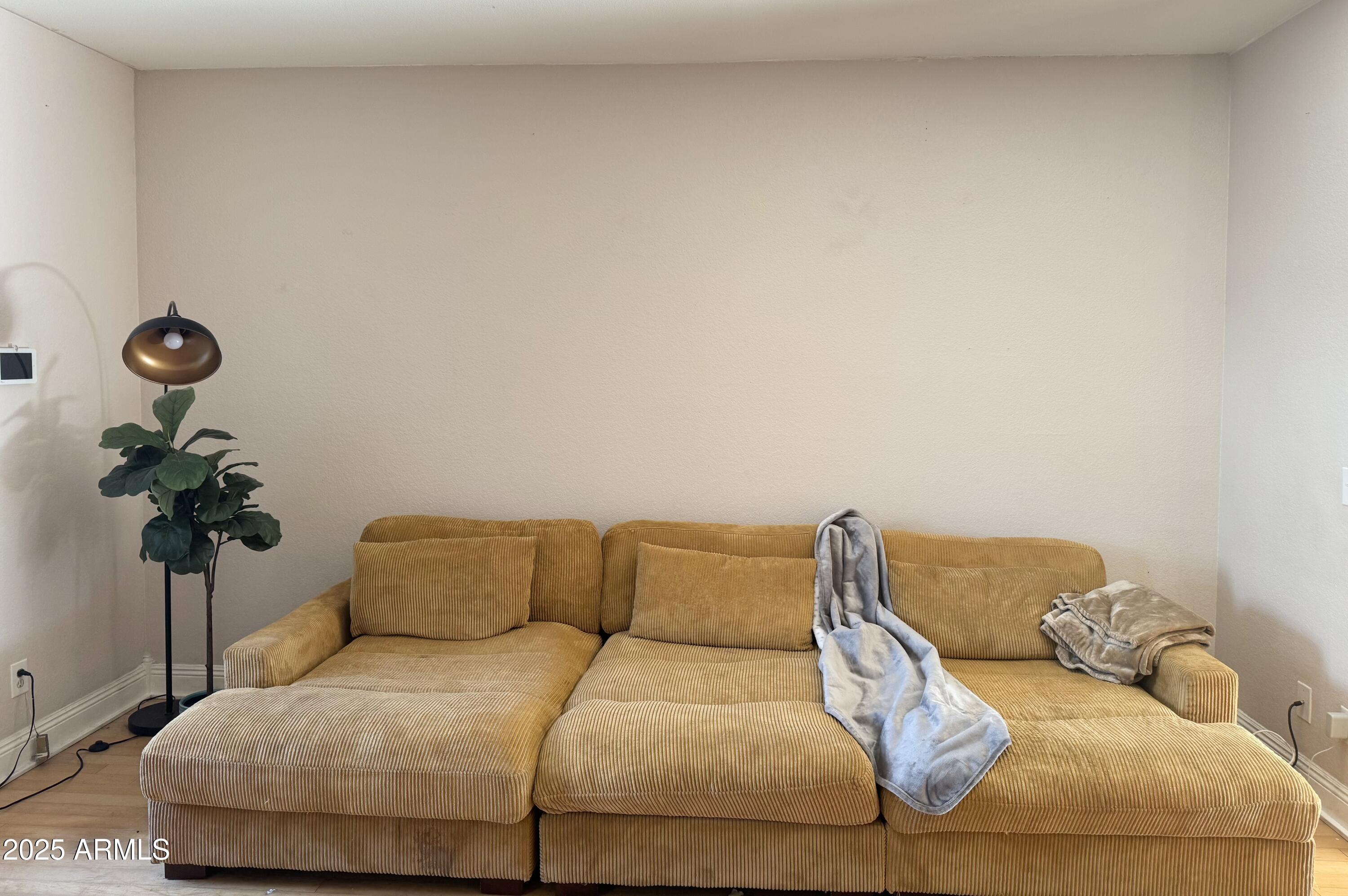 Photo #14