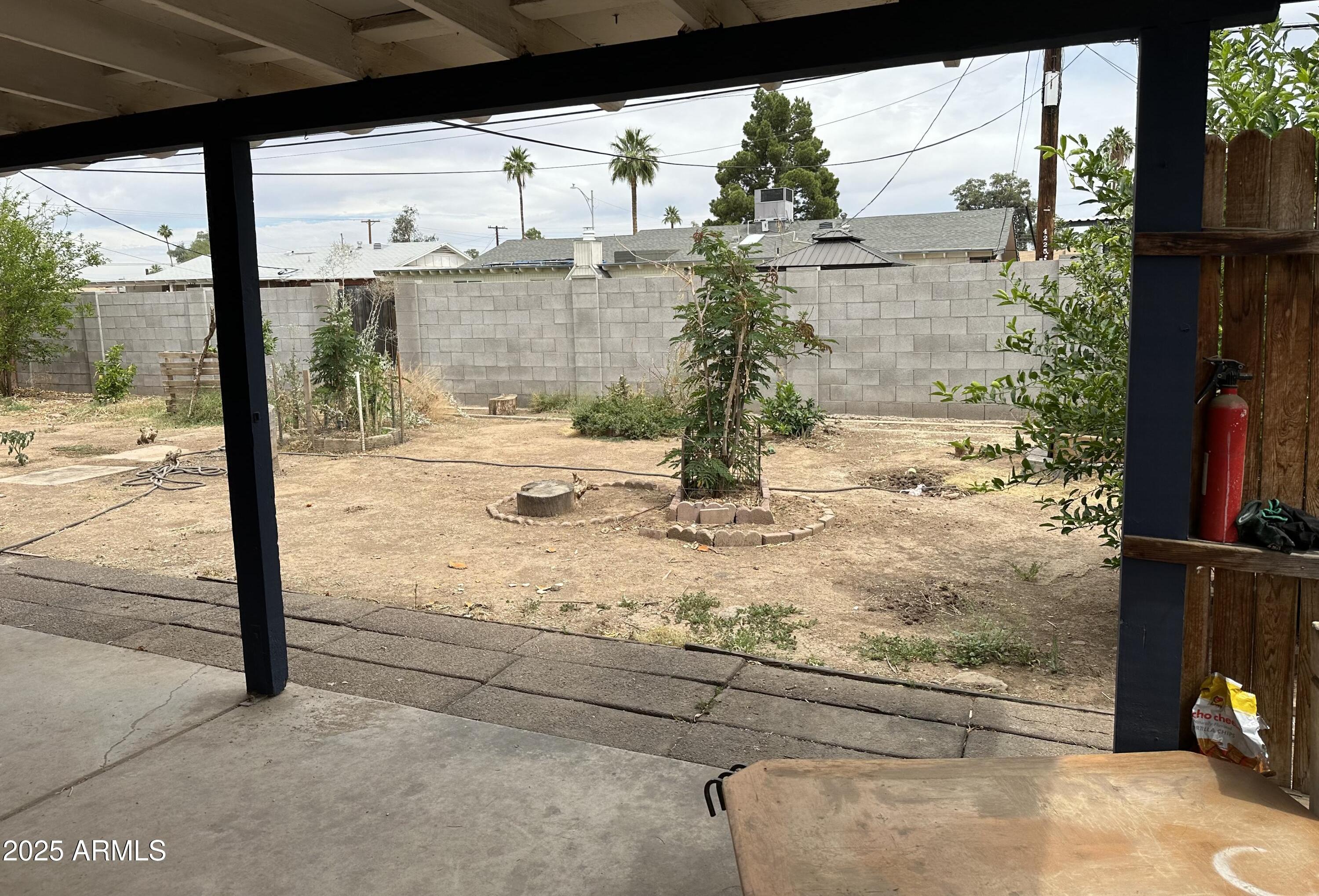 Photo #35