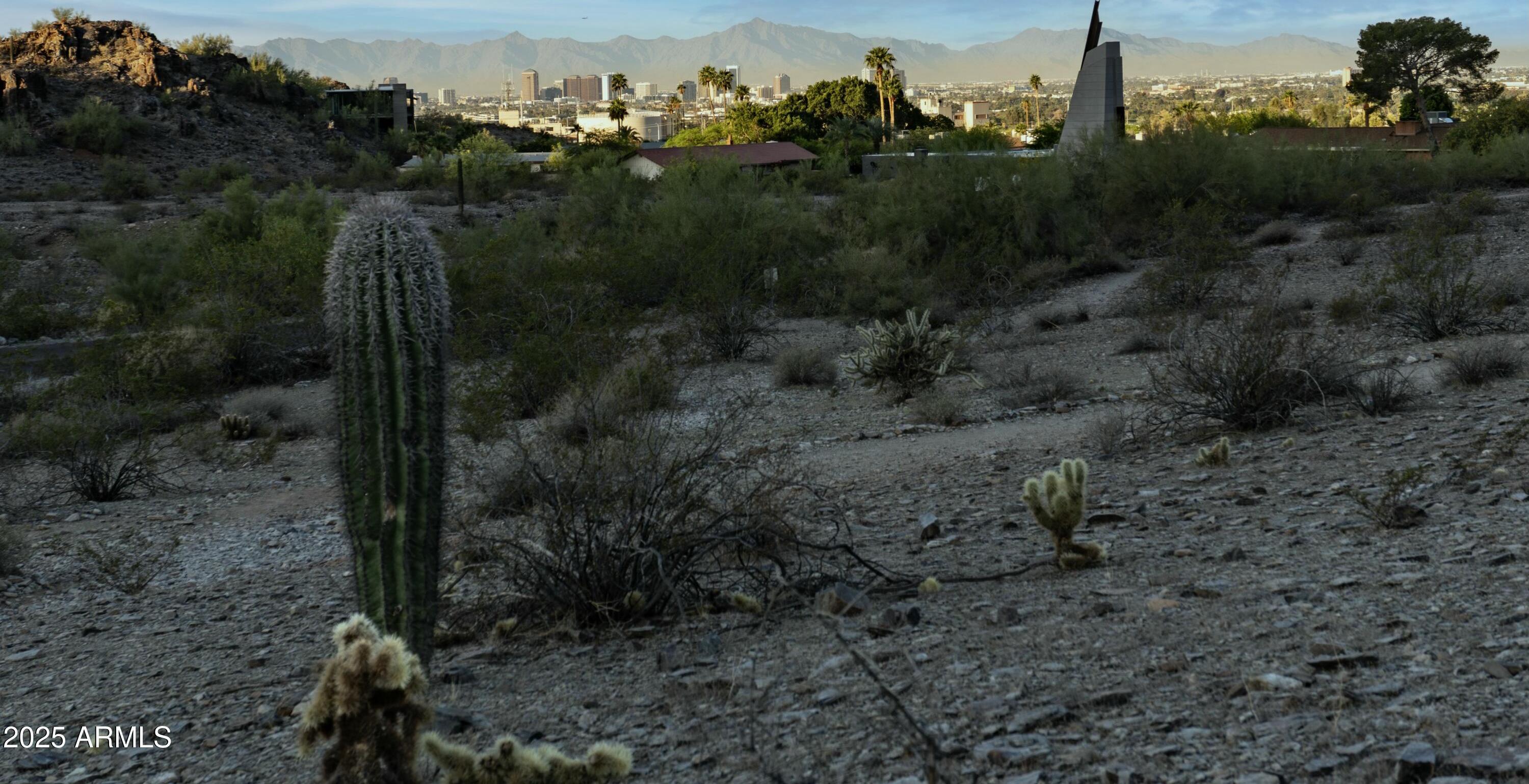 Photo #82