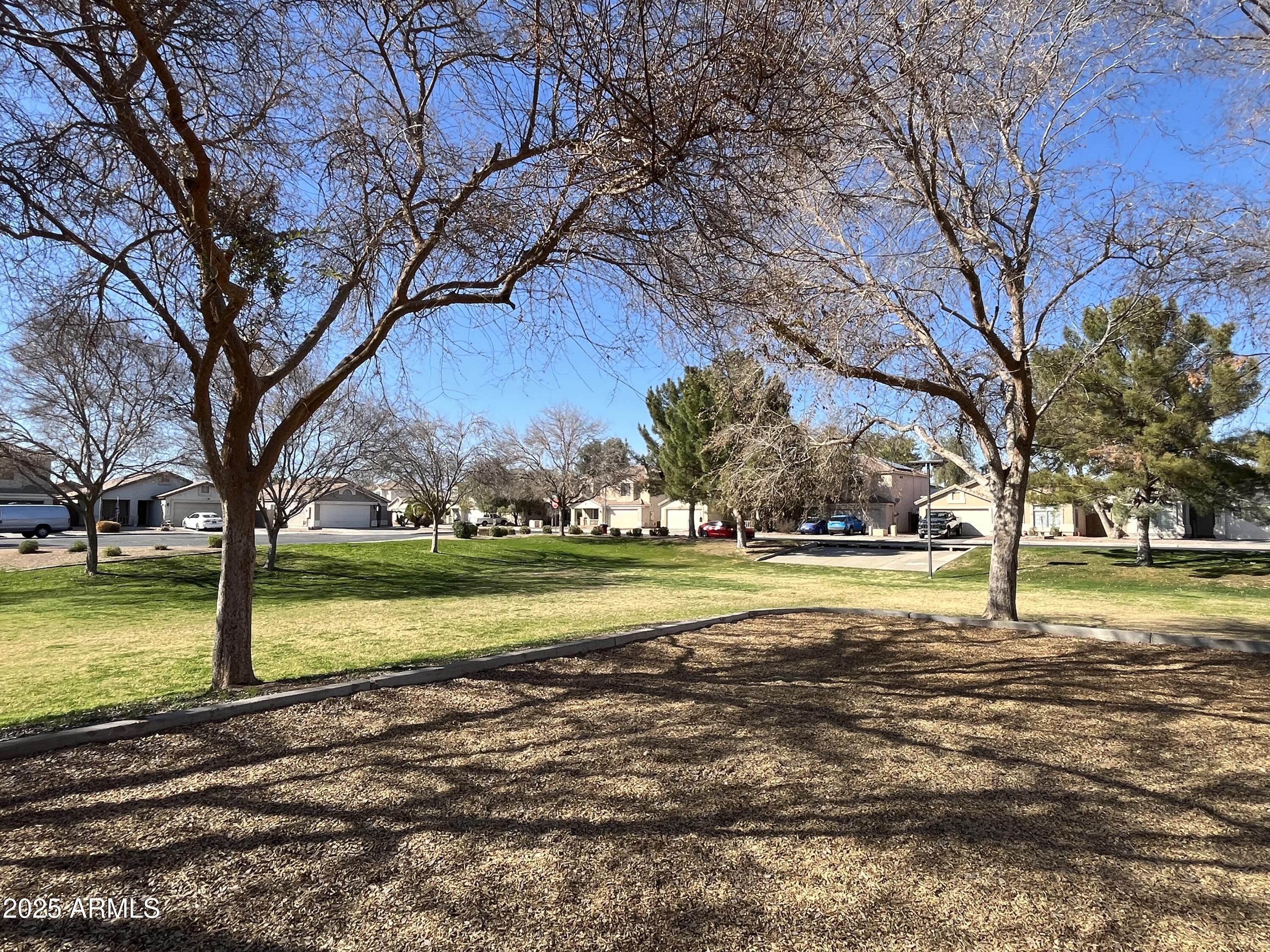 Photo #59