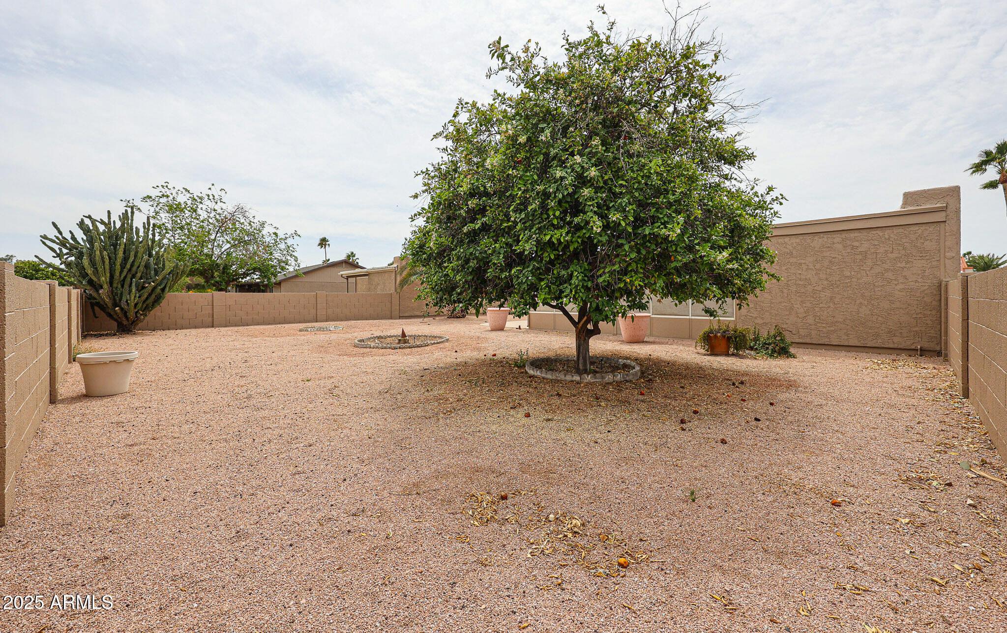 Photo #31