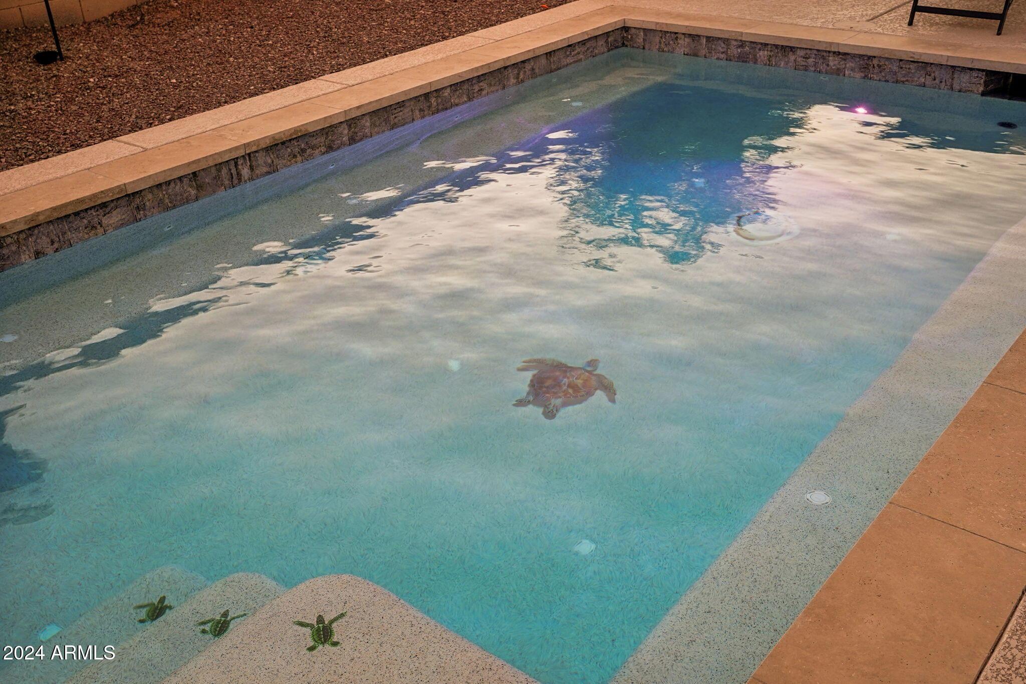 Photo #50