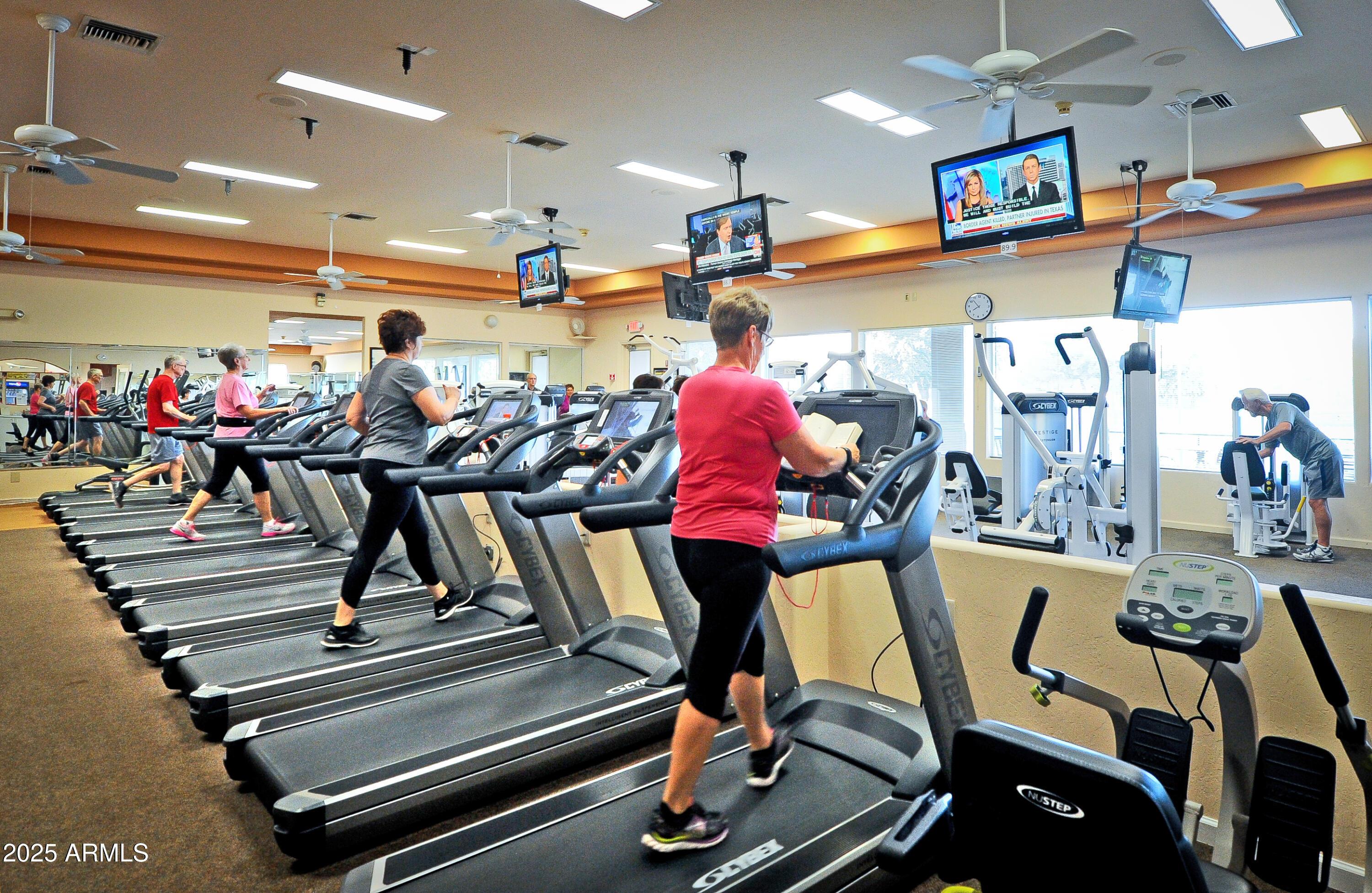 Photo #61