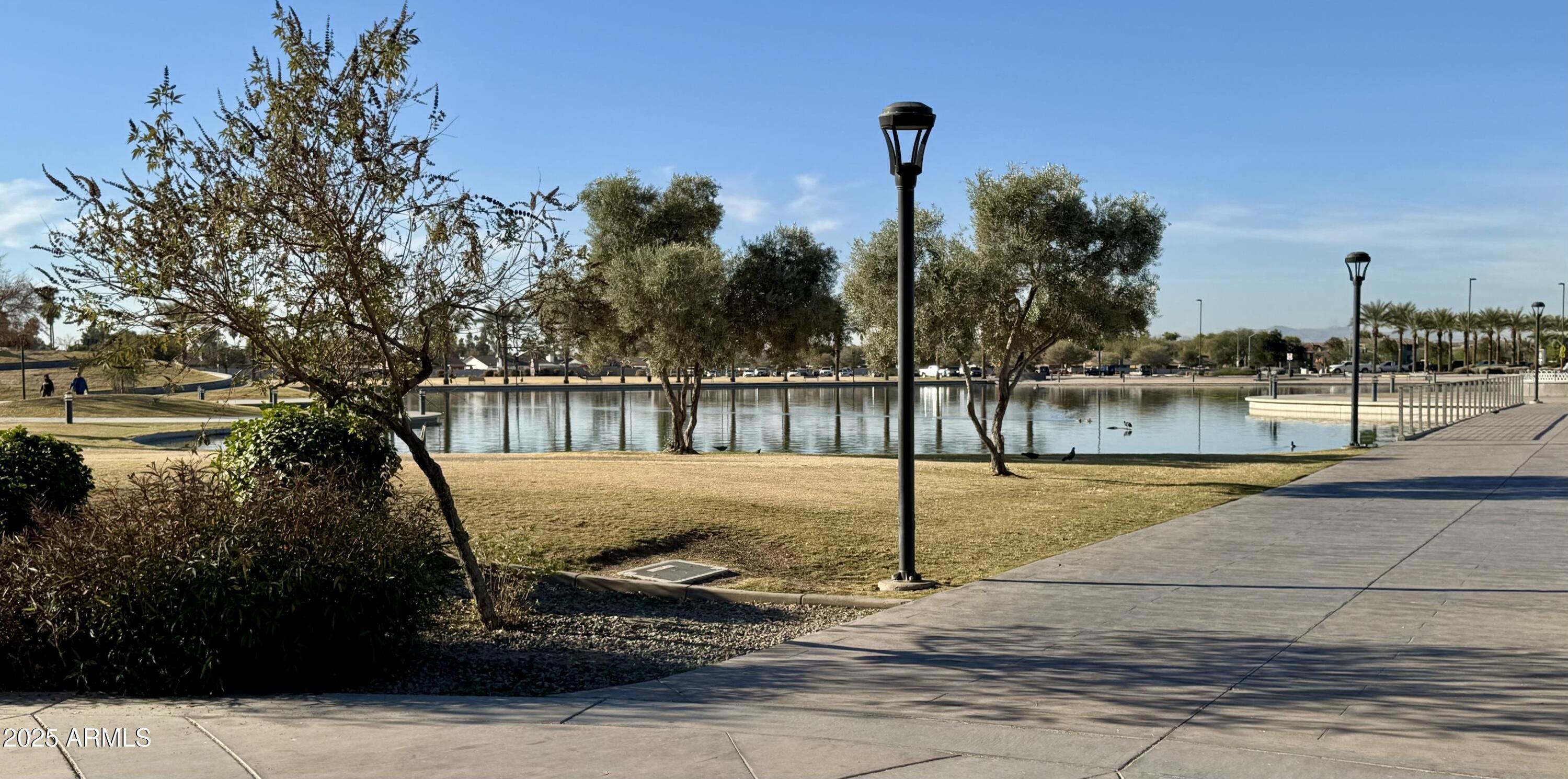 Photo #44