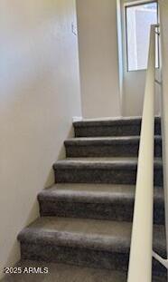 Photo #10
