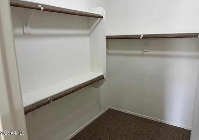 Photo #13