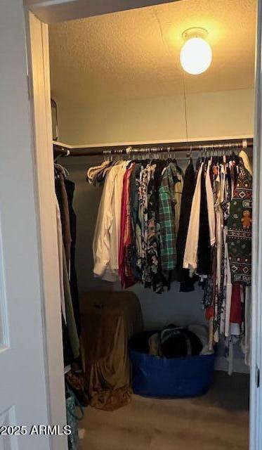 Photo #15