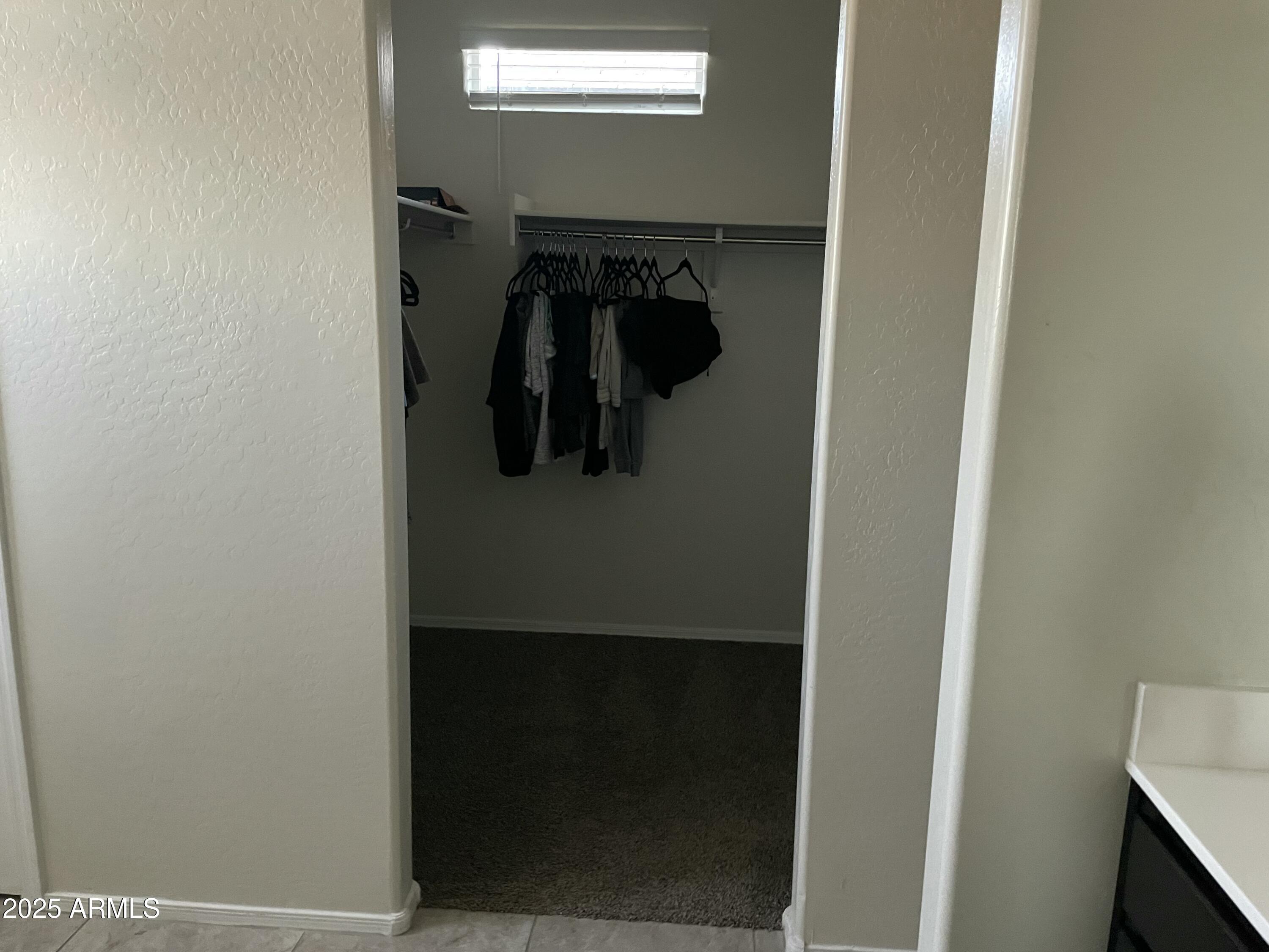 Photo #29