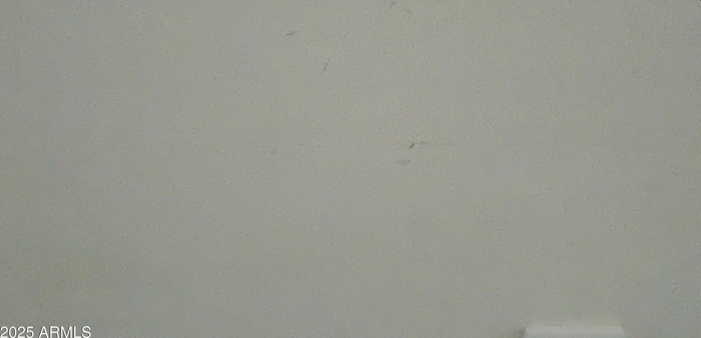 Photo #134