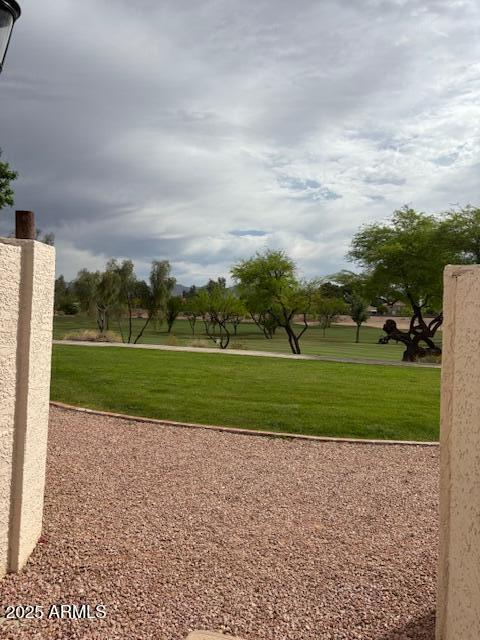Photo #5