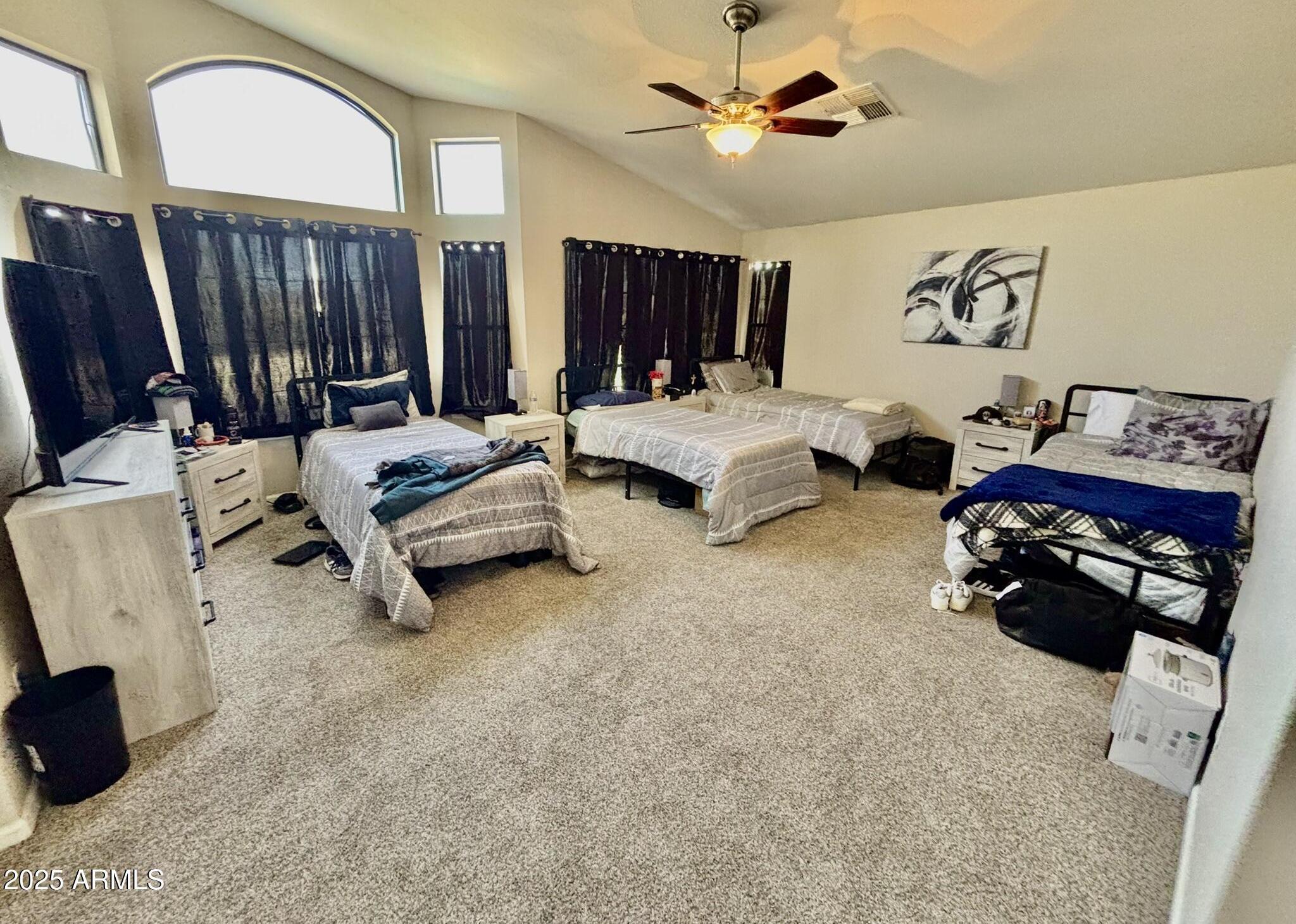Photo #15