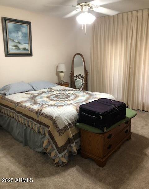 Photo #41