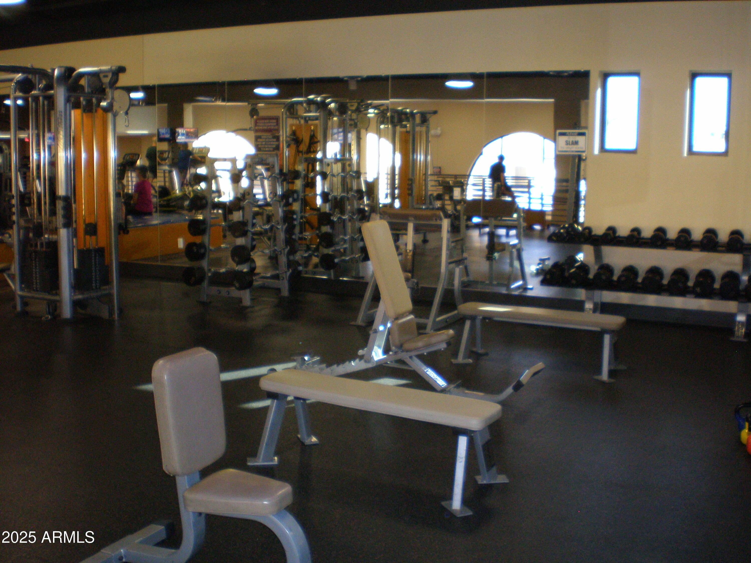 Photo #66