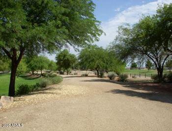 Photo #37