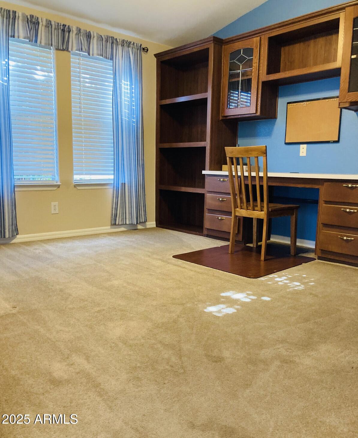 Photo #14
