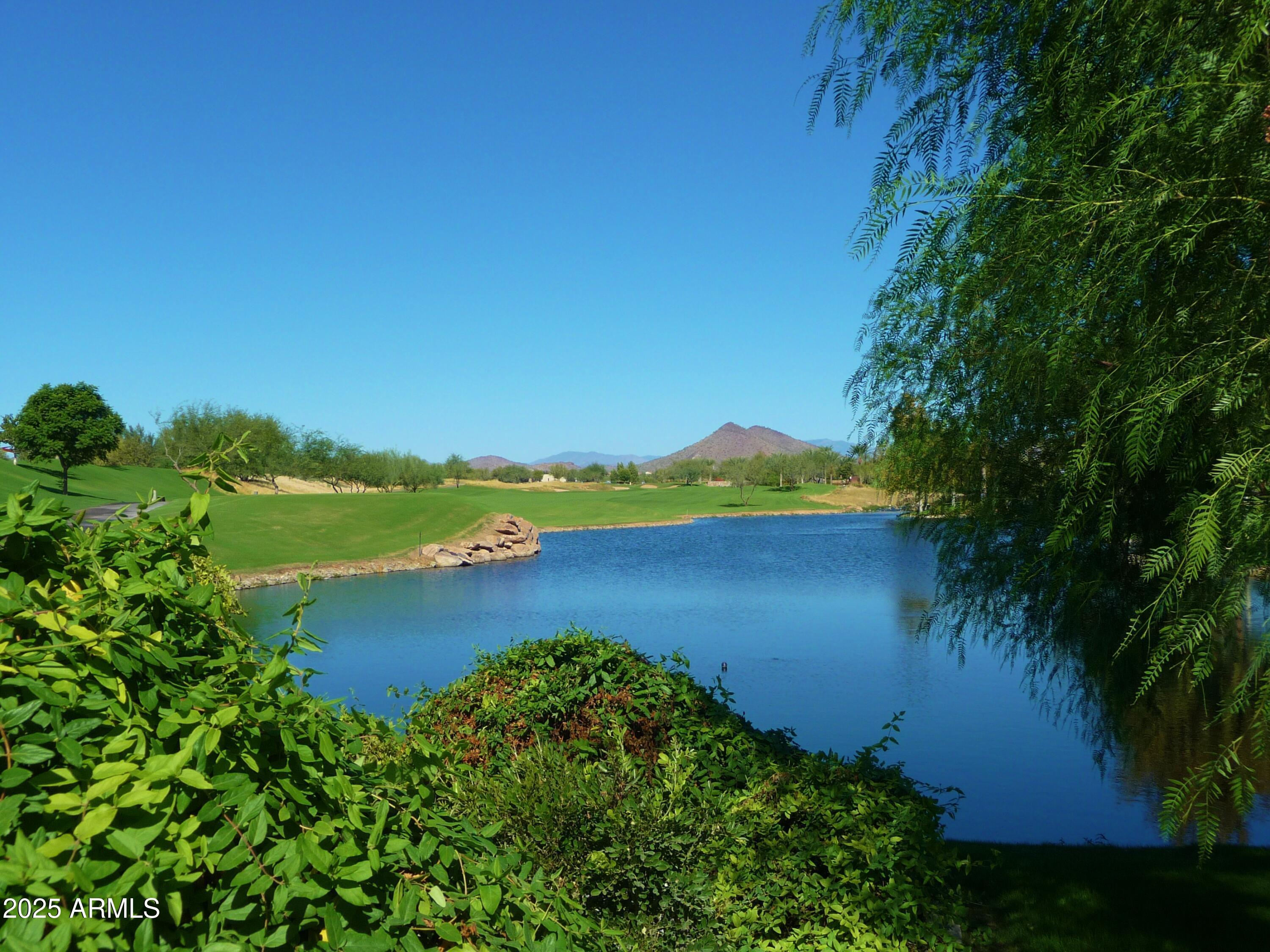 Photo #49