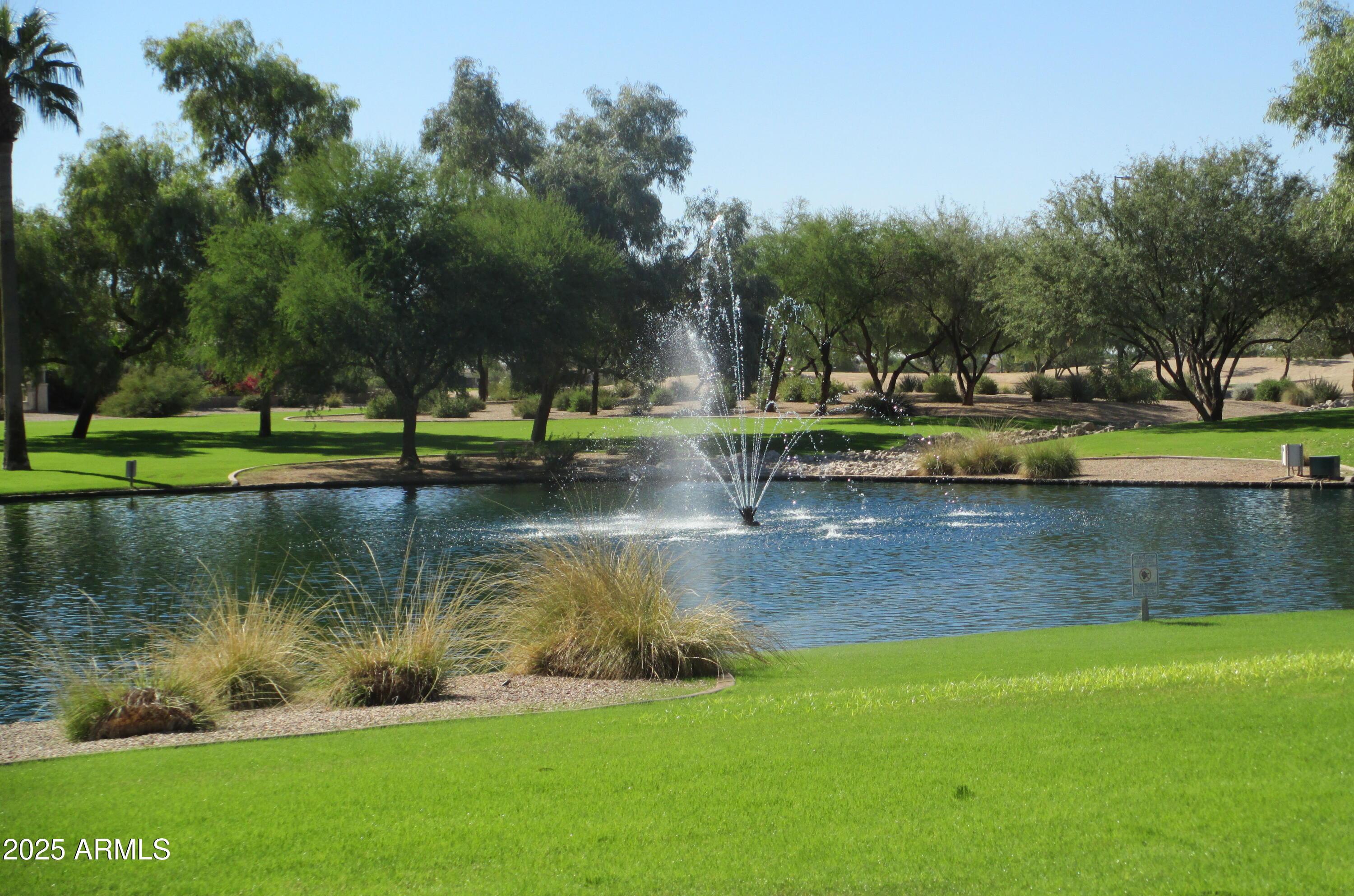 Photo #37