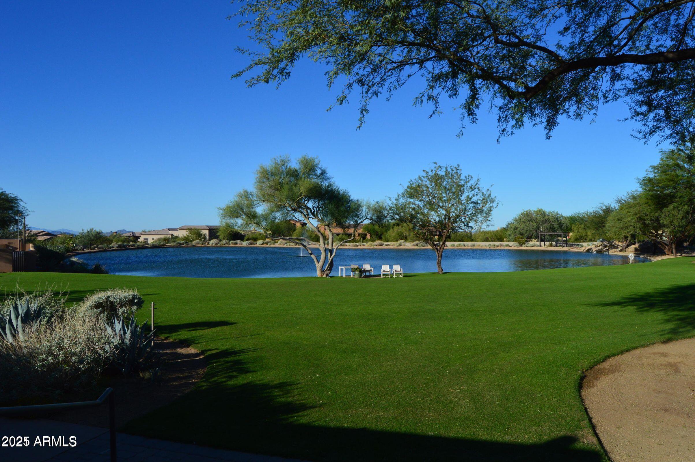 Photo #55