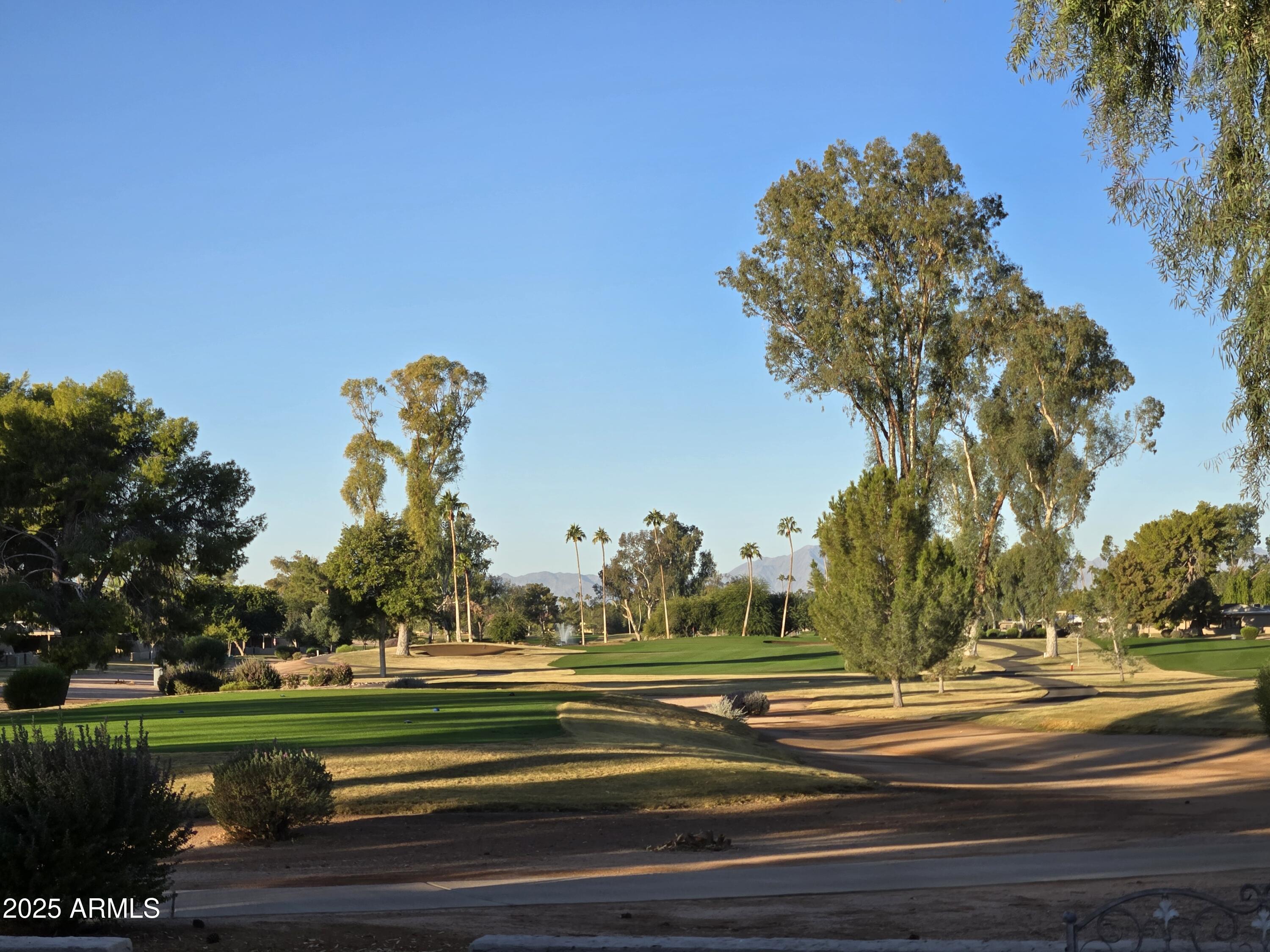 Photo #38