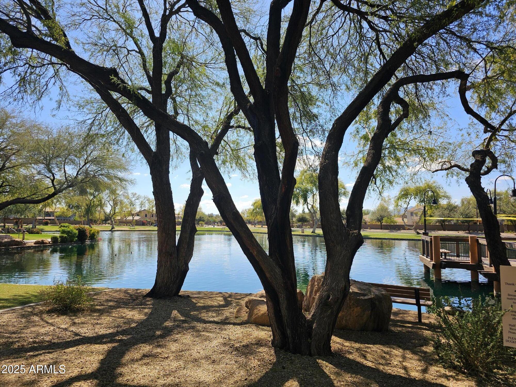 Photo #15