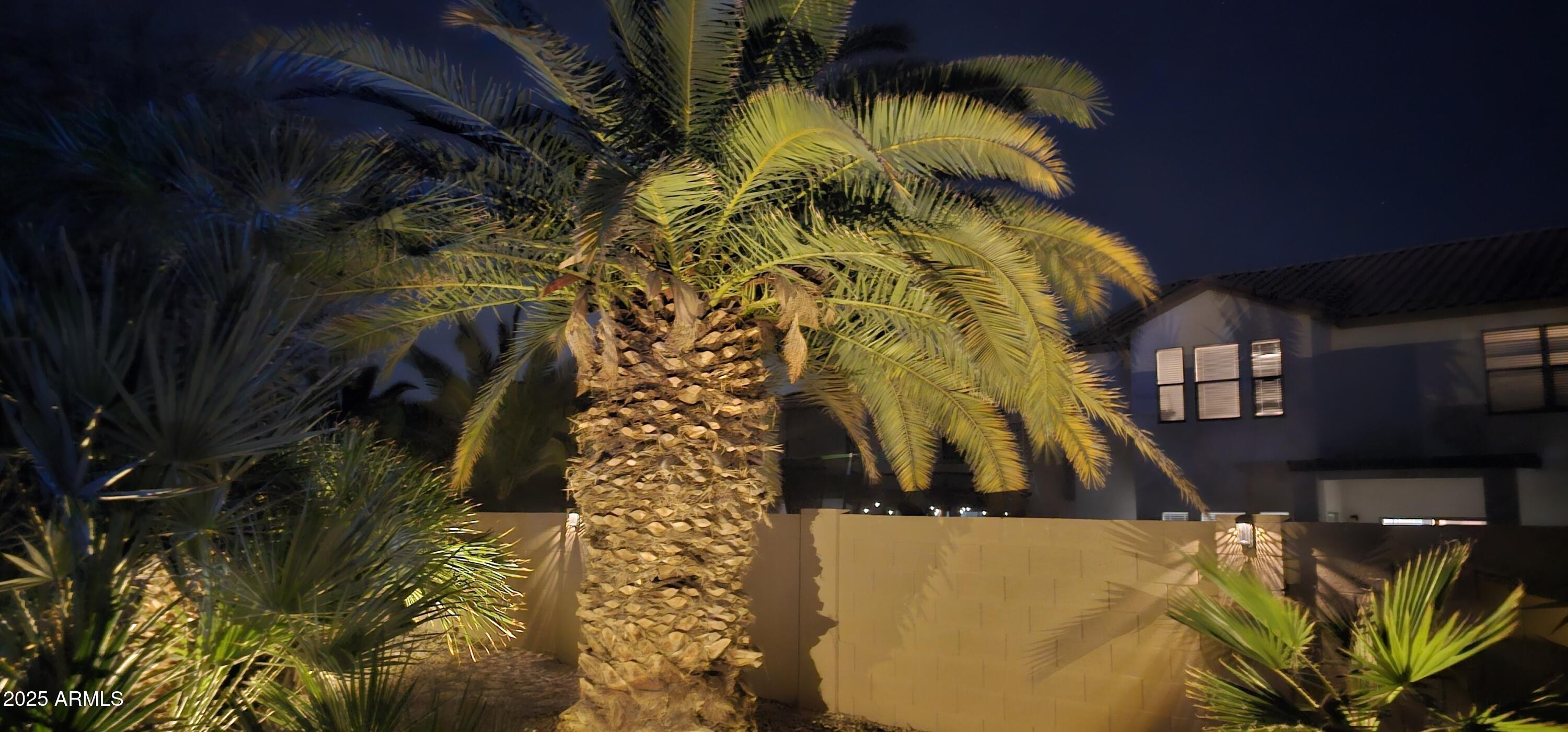 Photo #57