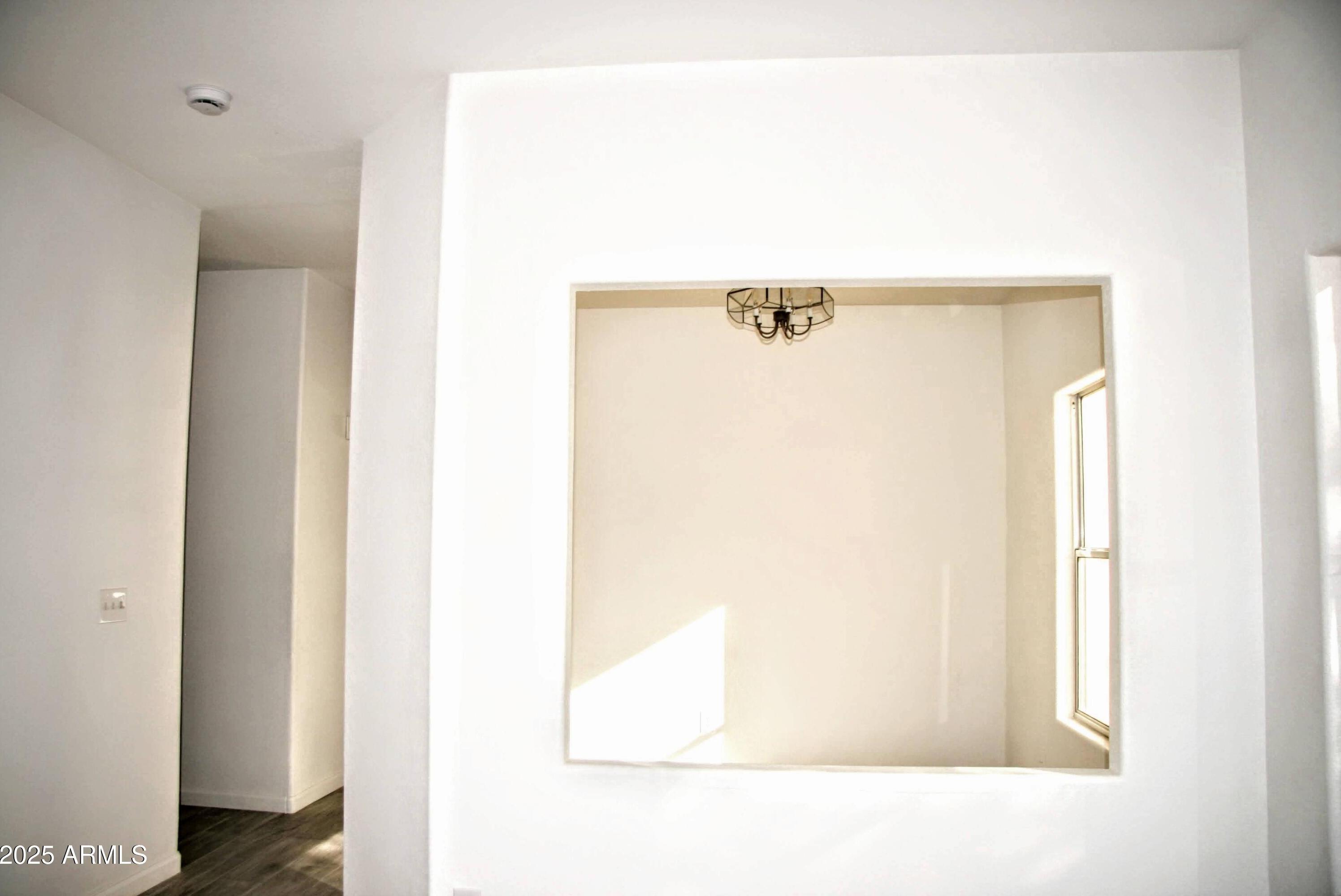 Photo #12