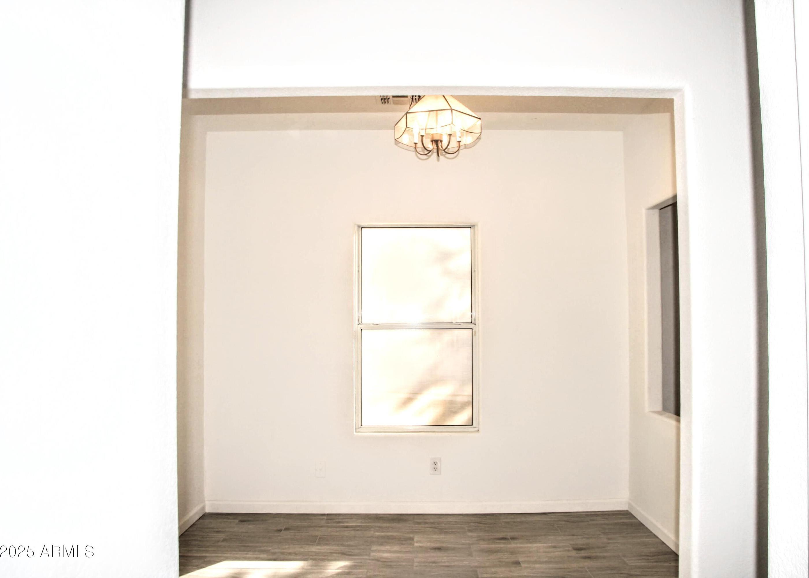 Photo #13