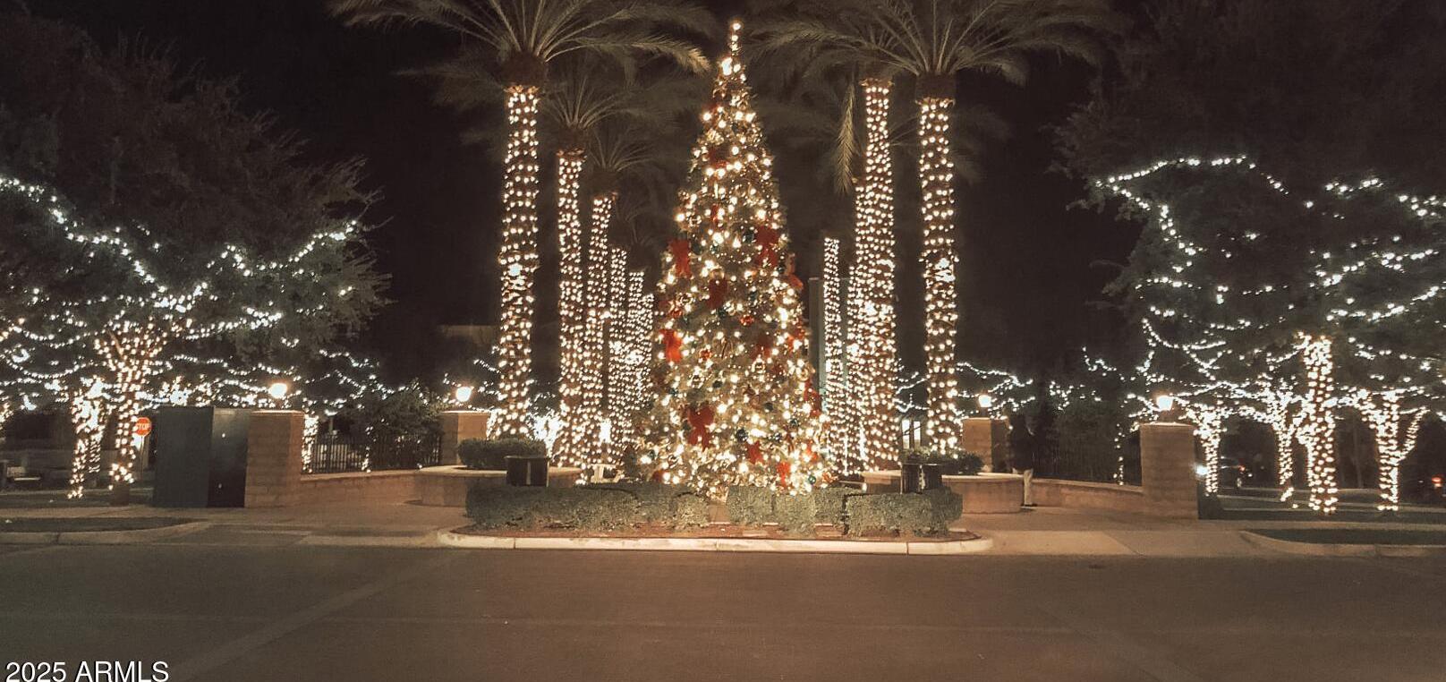 Photo #75