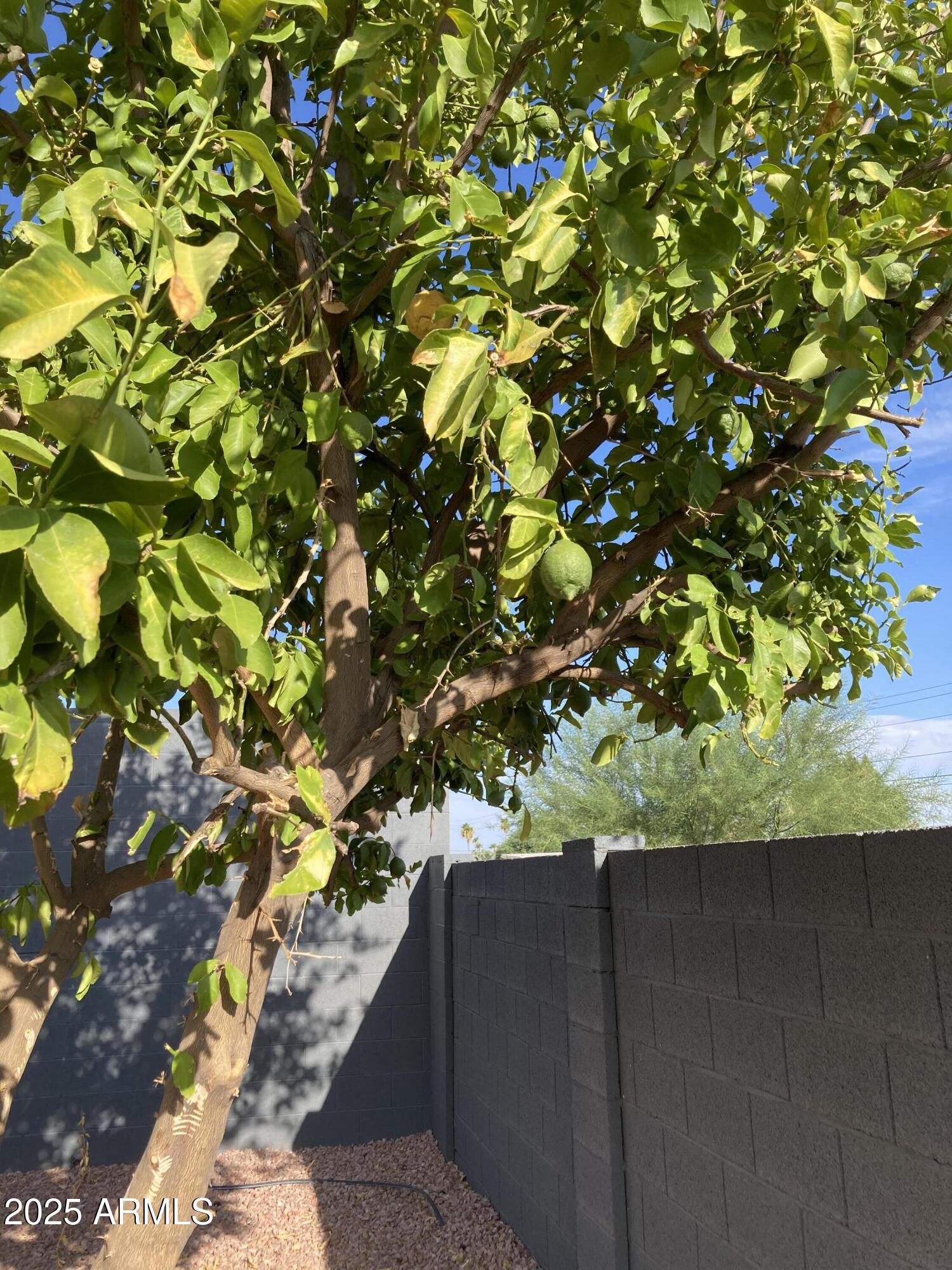 Photo #33