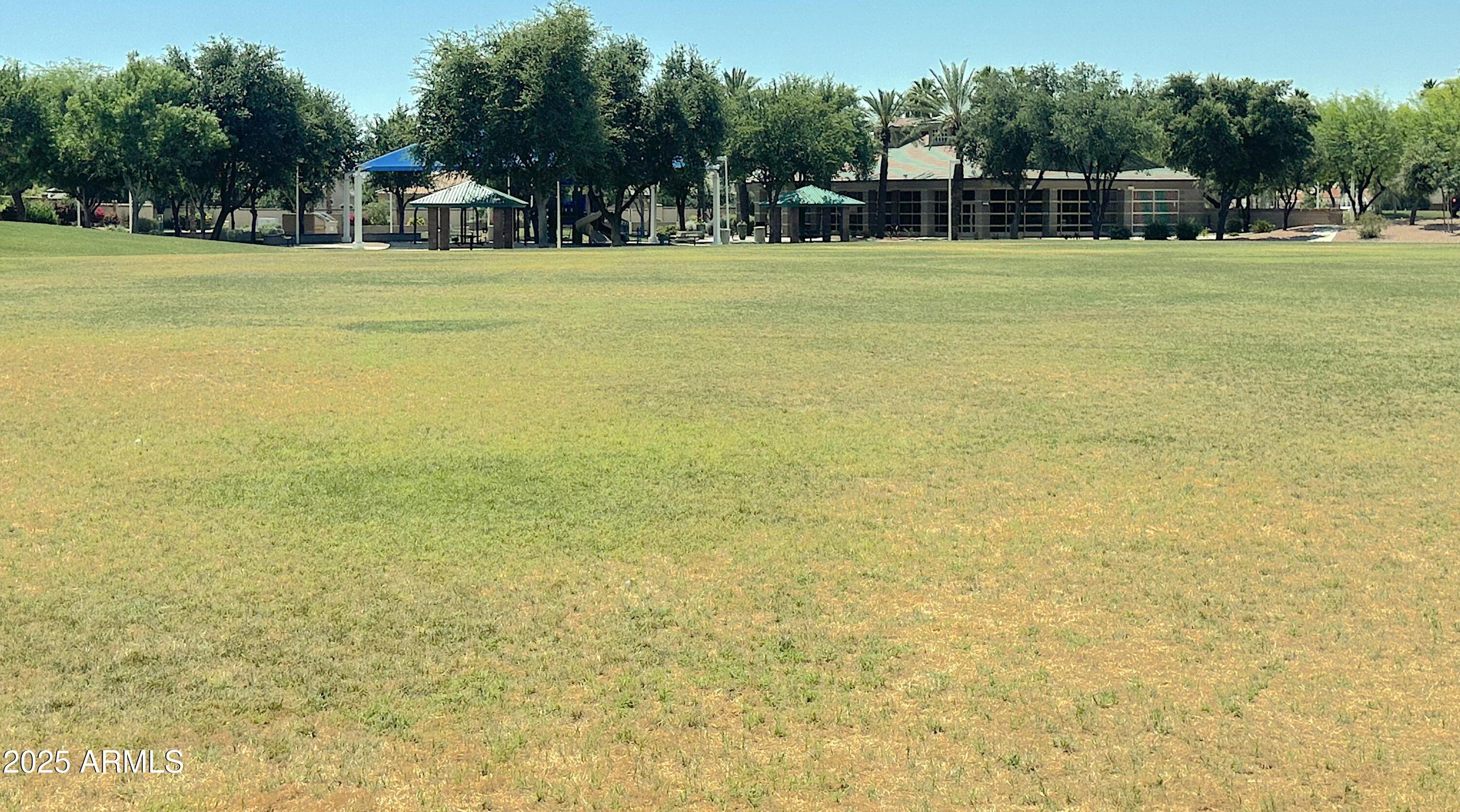 Photo #43