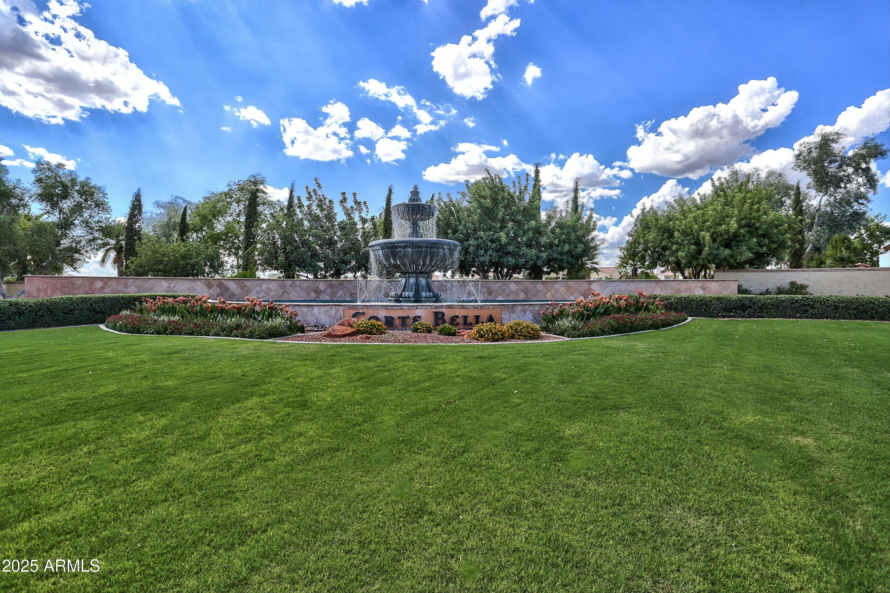 Photo #61