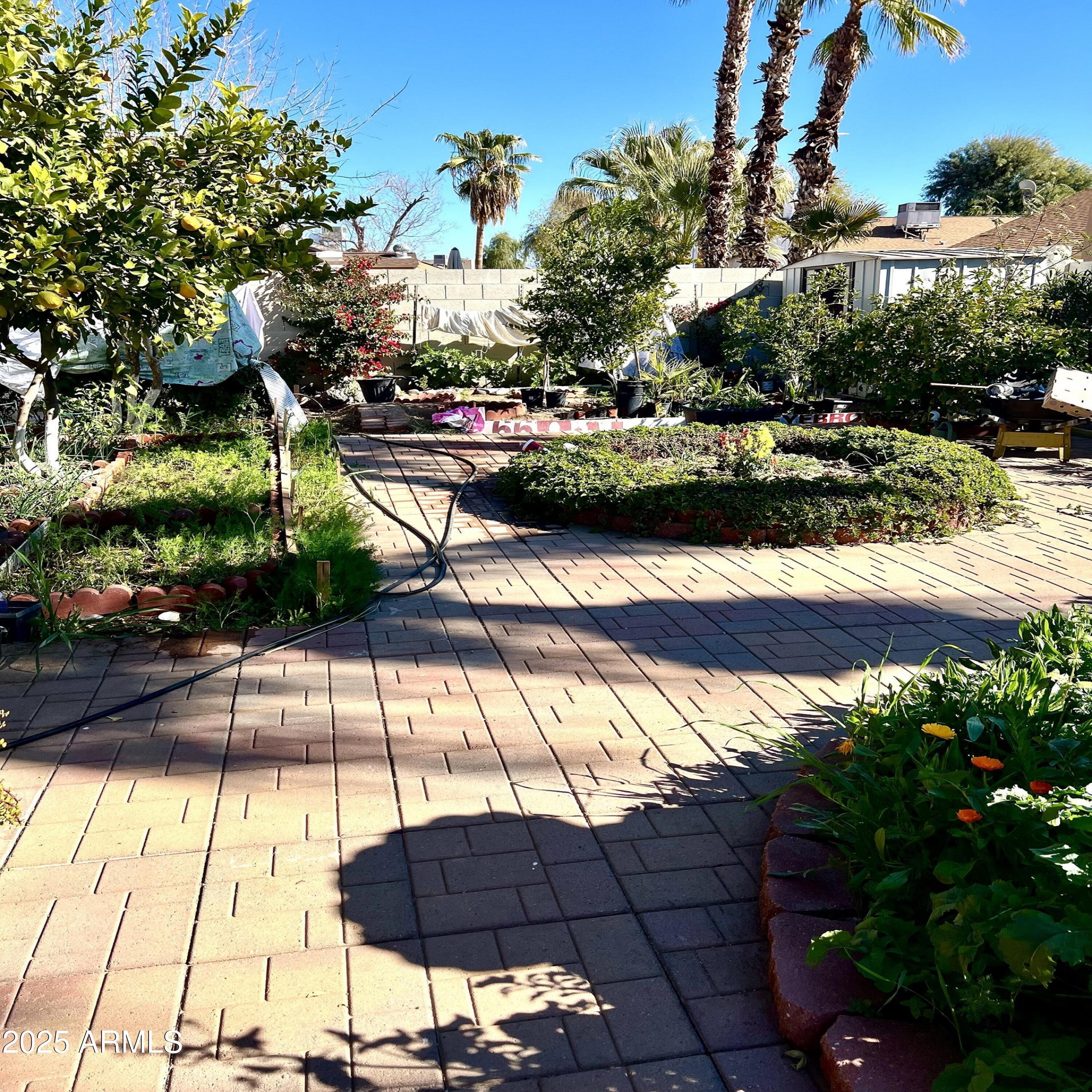 Photo #47