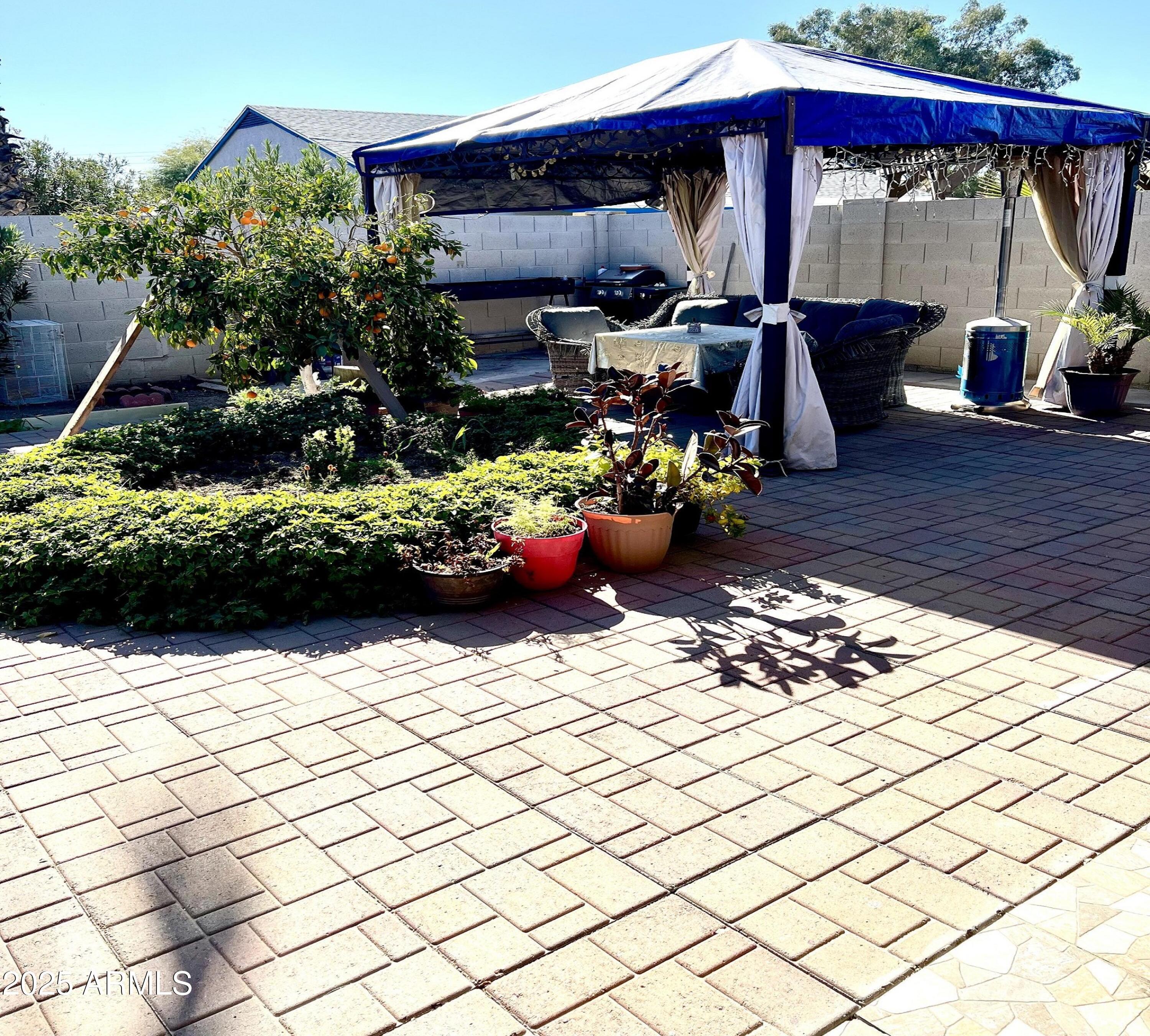 Photo #44