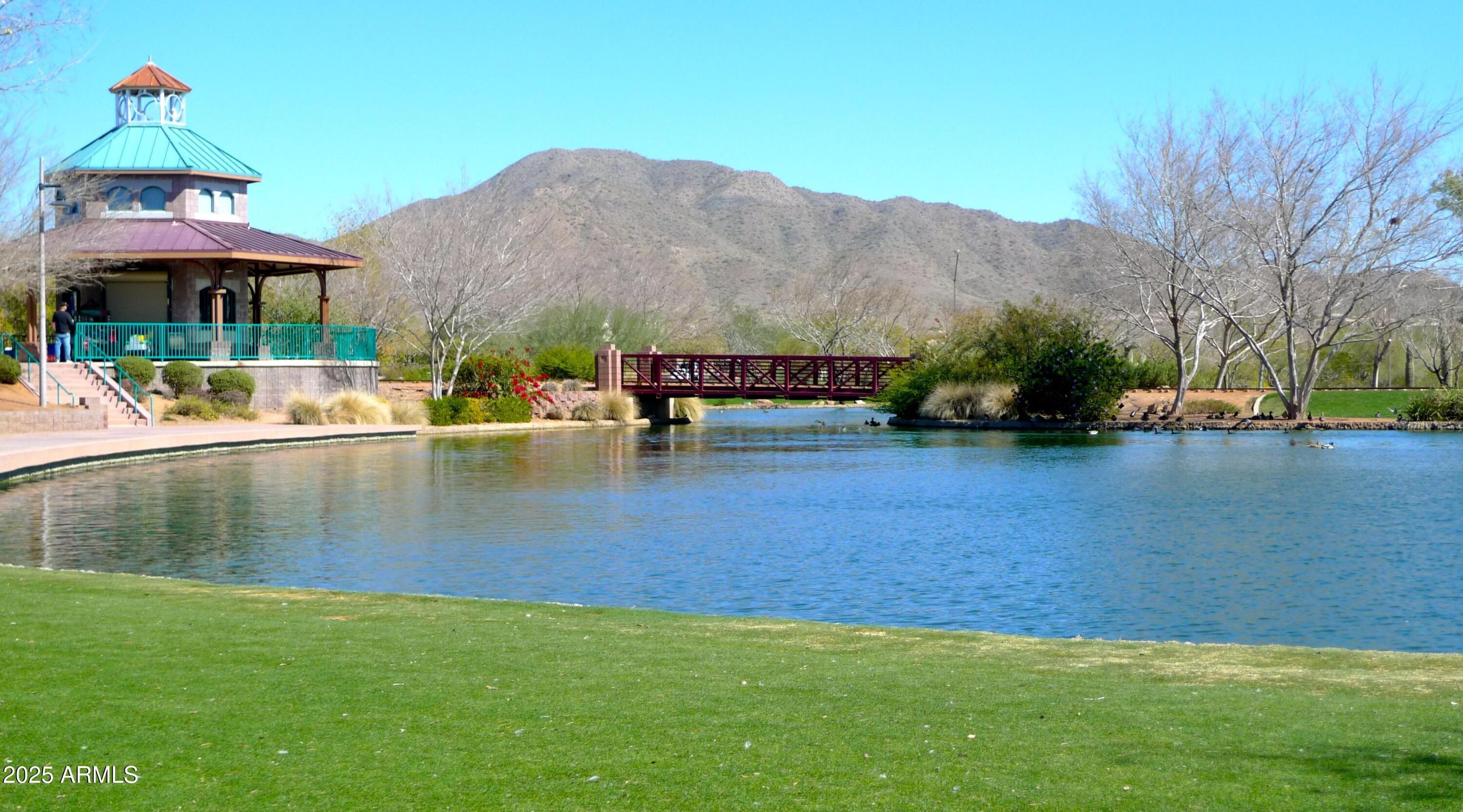 Photo #42