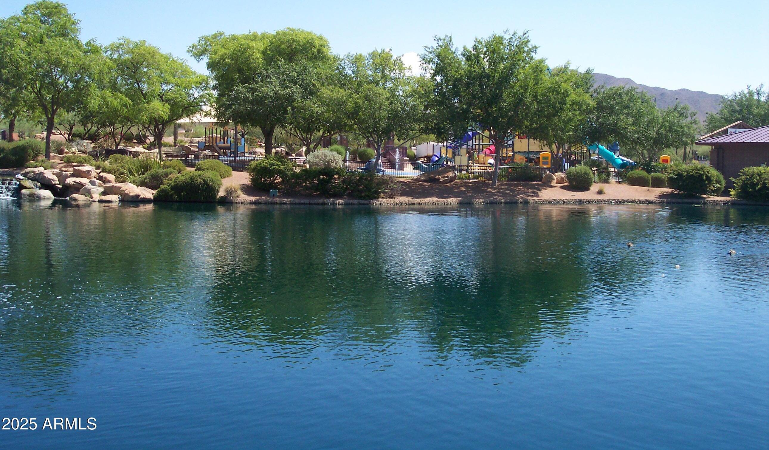 Photo #41