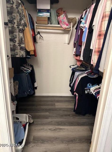Photo #25