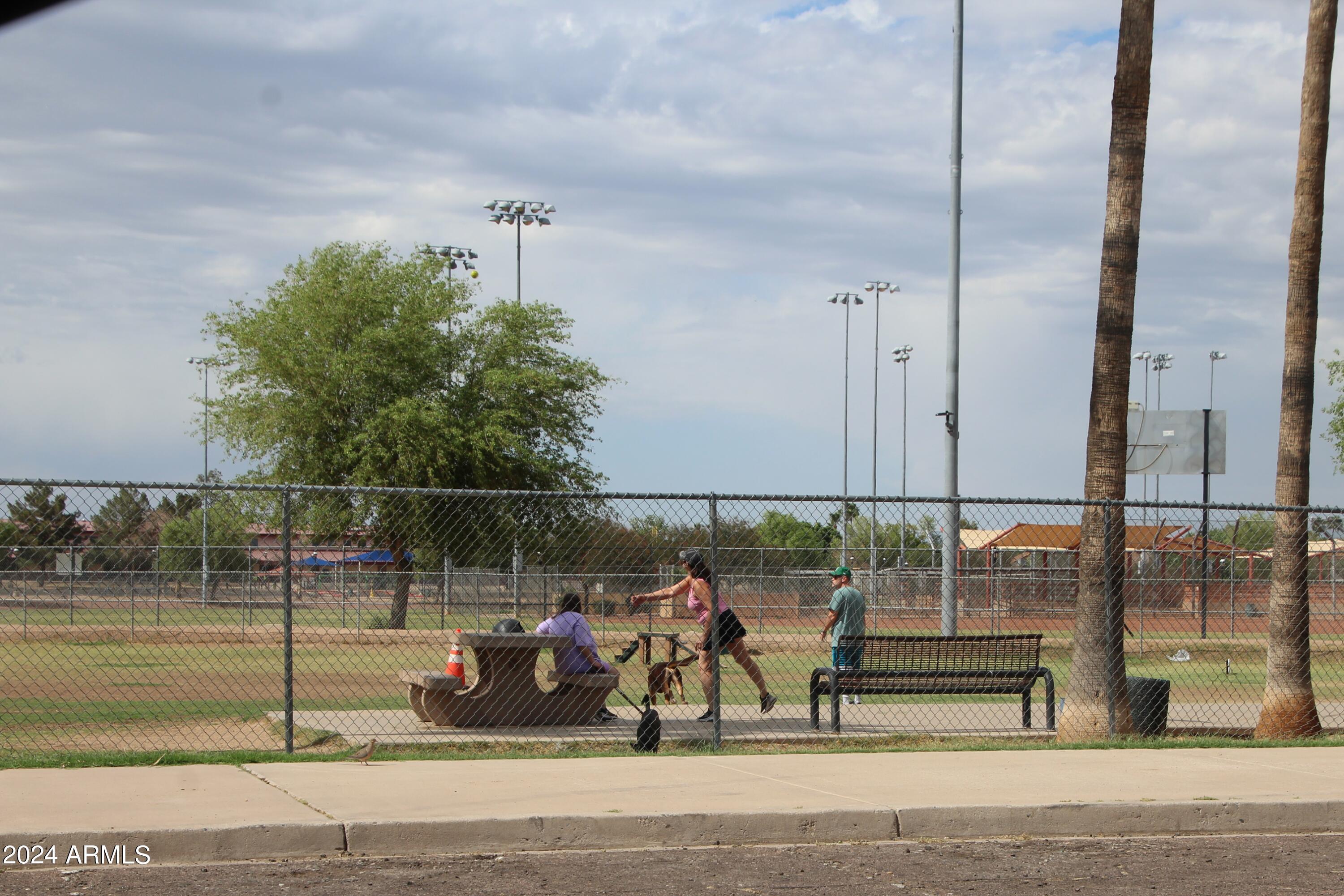 Photo #32