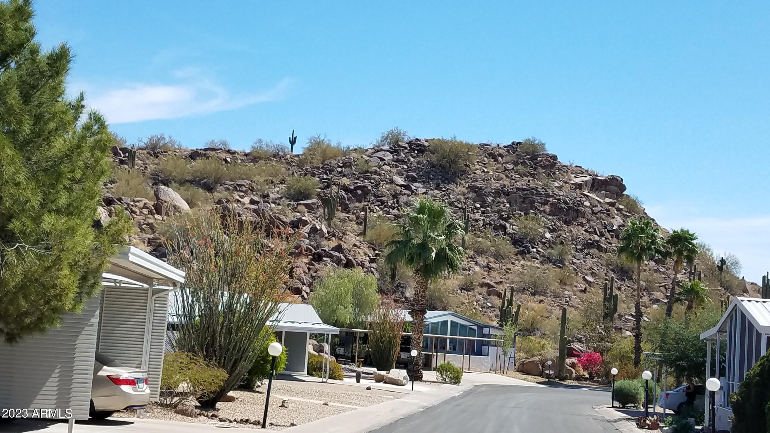 Photo #37