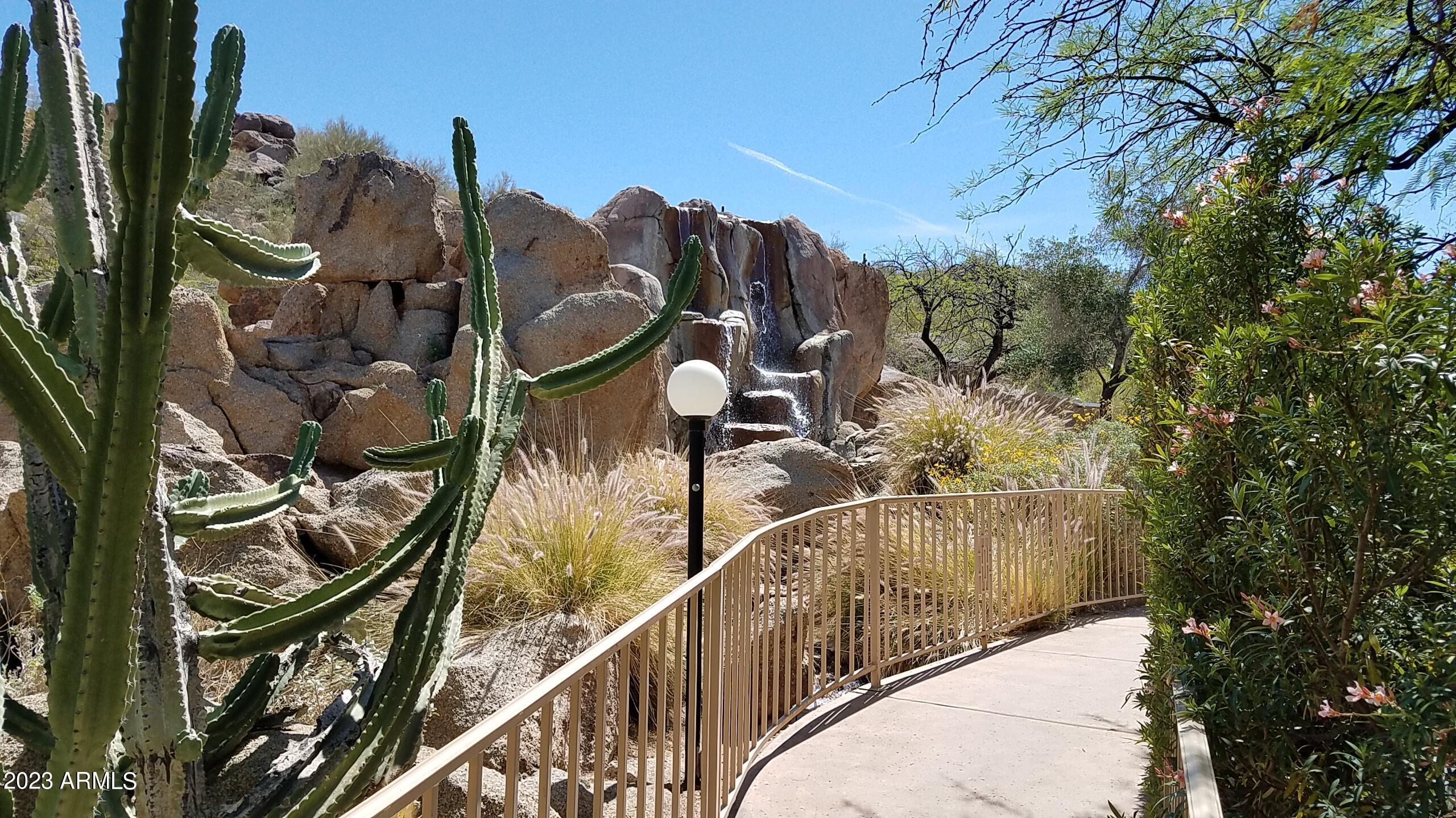 Photo #42