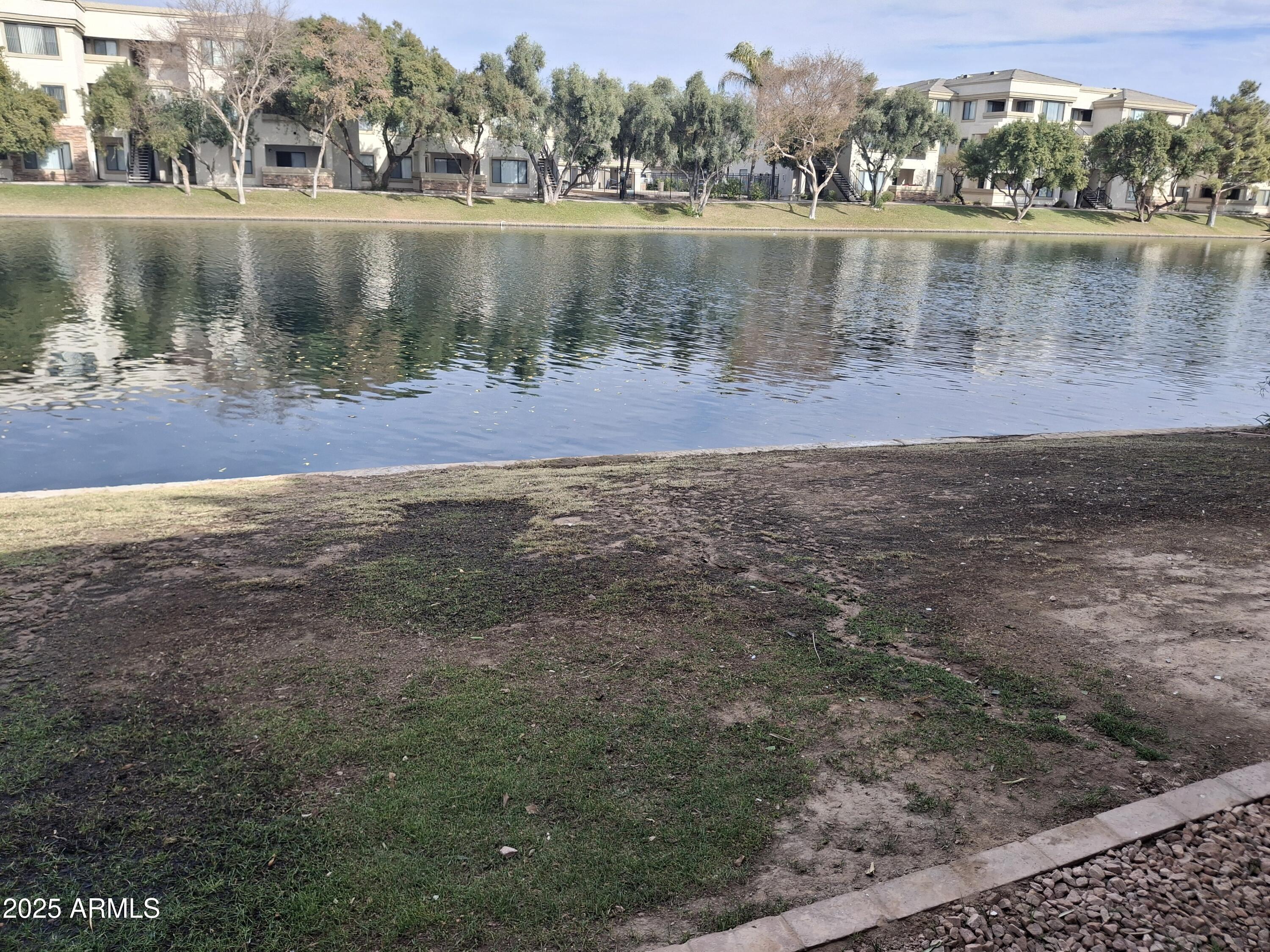 Photo #18