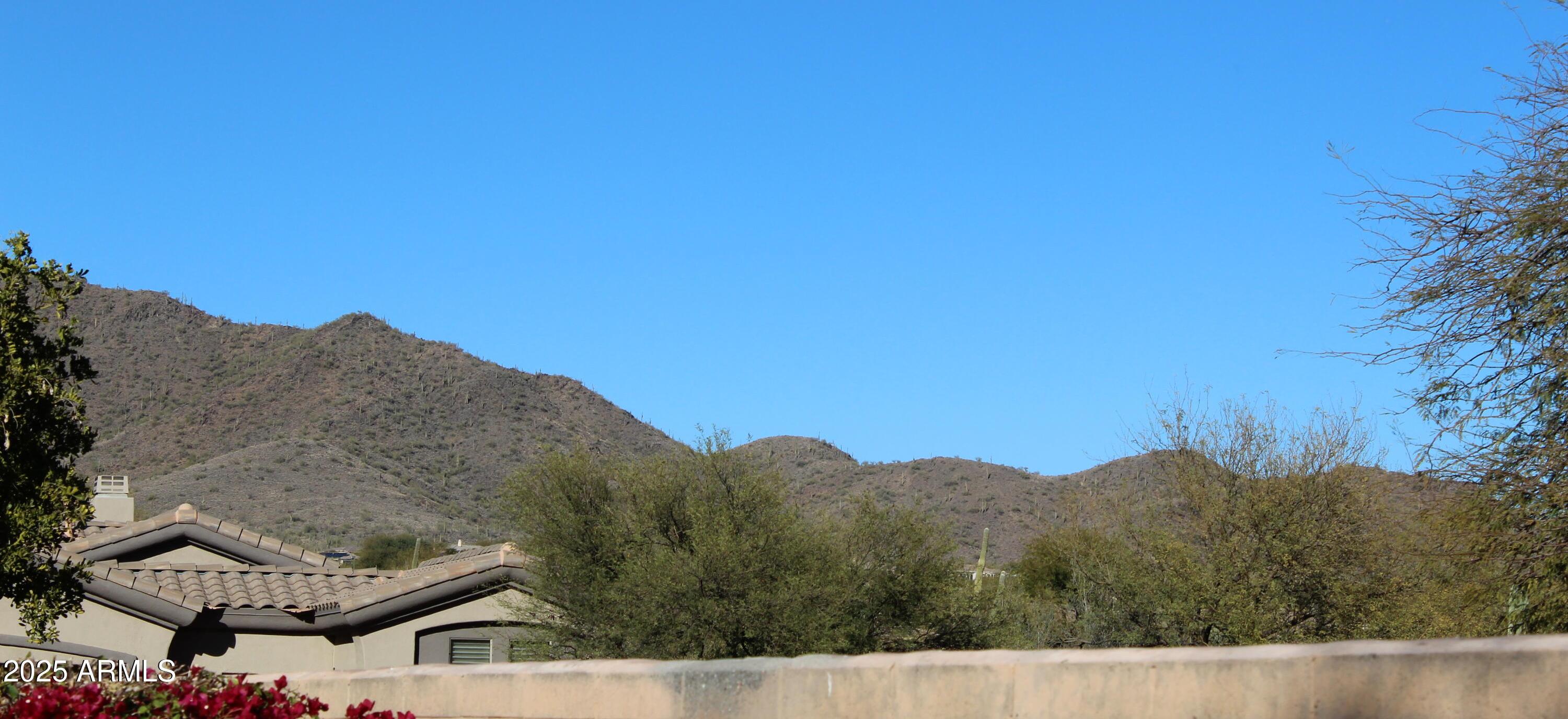 Photo #32