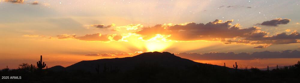 Photo #23